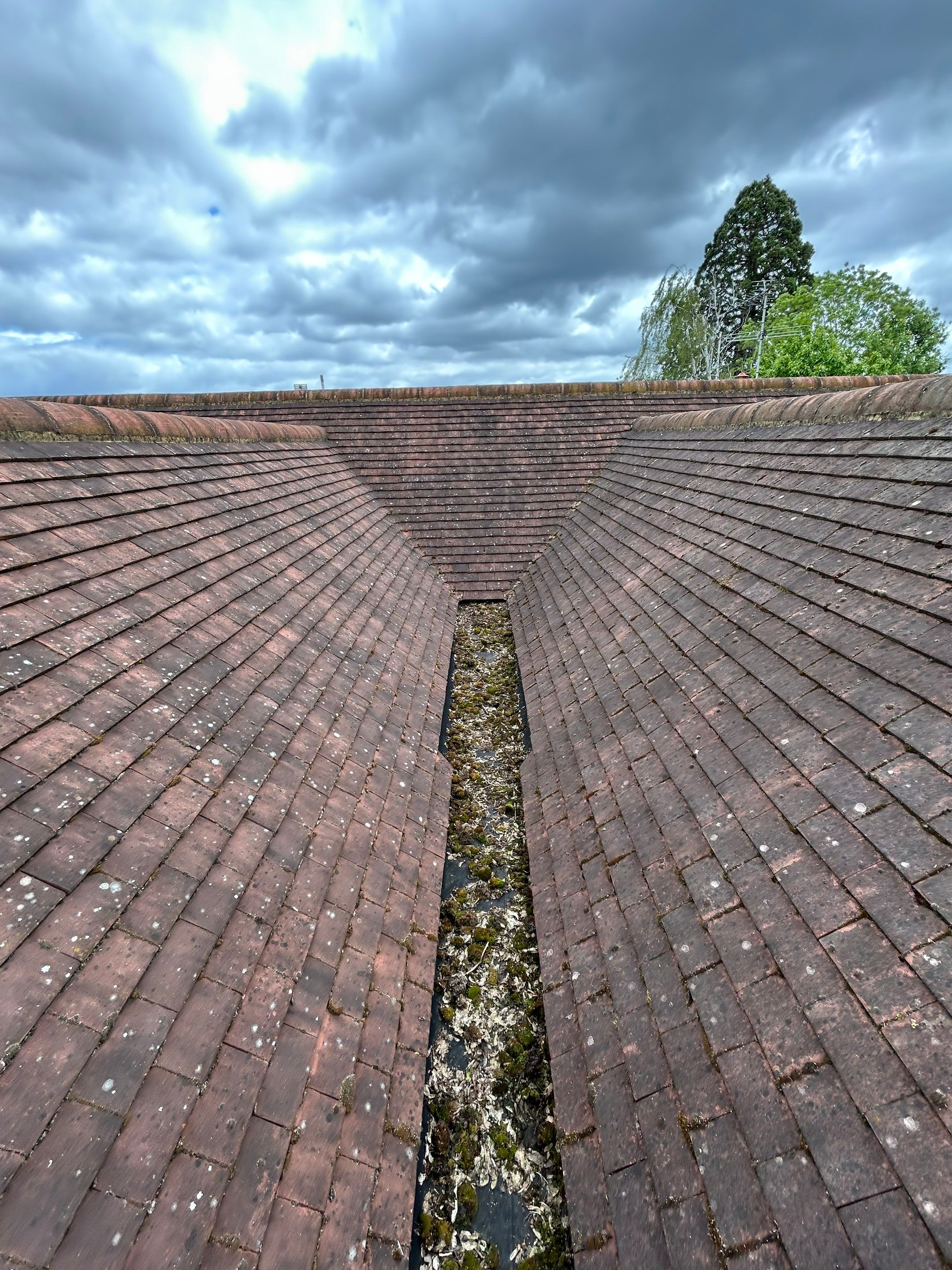 Roof Clean Surrey by Ges Exterior Cleaning ltd