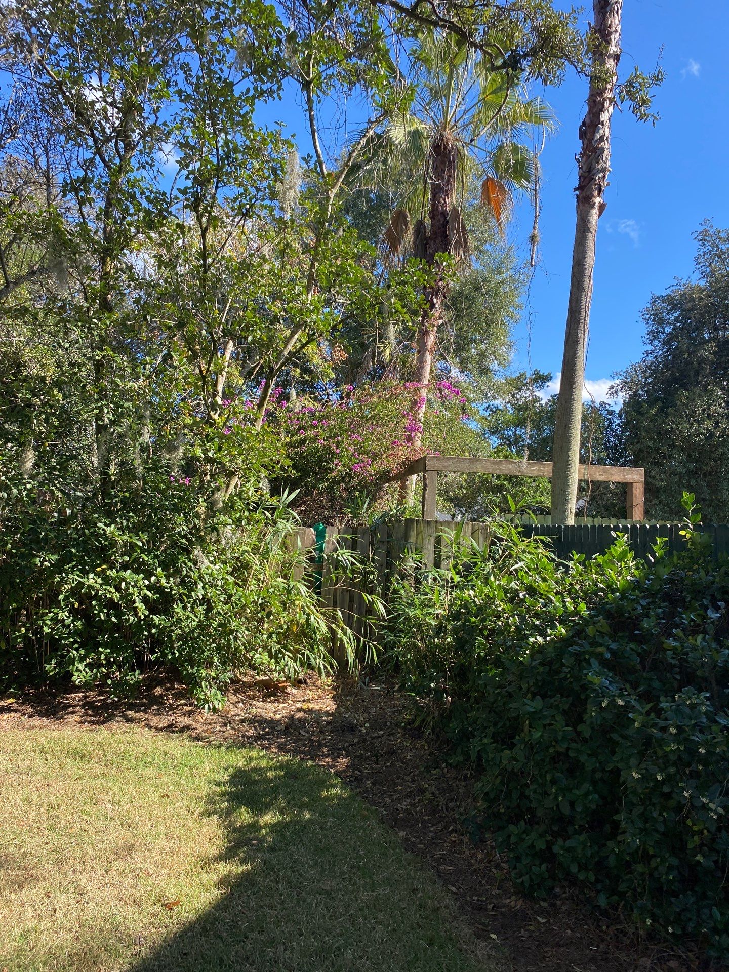 Deerwood Resident | Shrub Removal by ProGreen Services