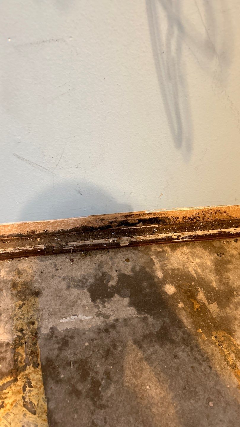 Mold Remediation by Accountable Home Services
