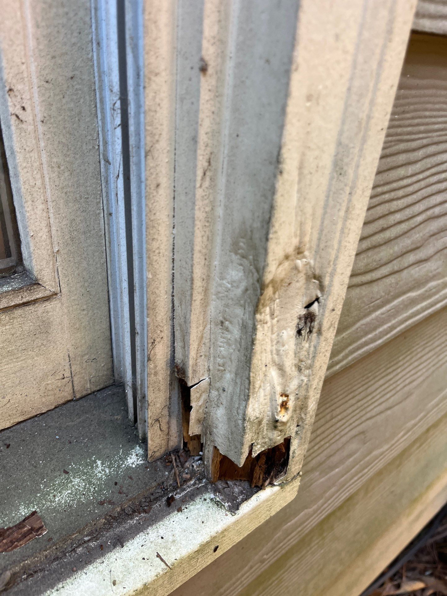 Exterior Painting, Rotted Wood Replacement, & Therma-Tru Door Installation by Nelson Exteriors 