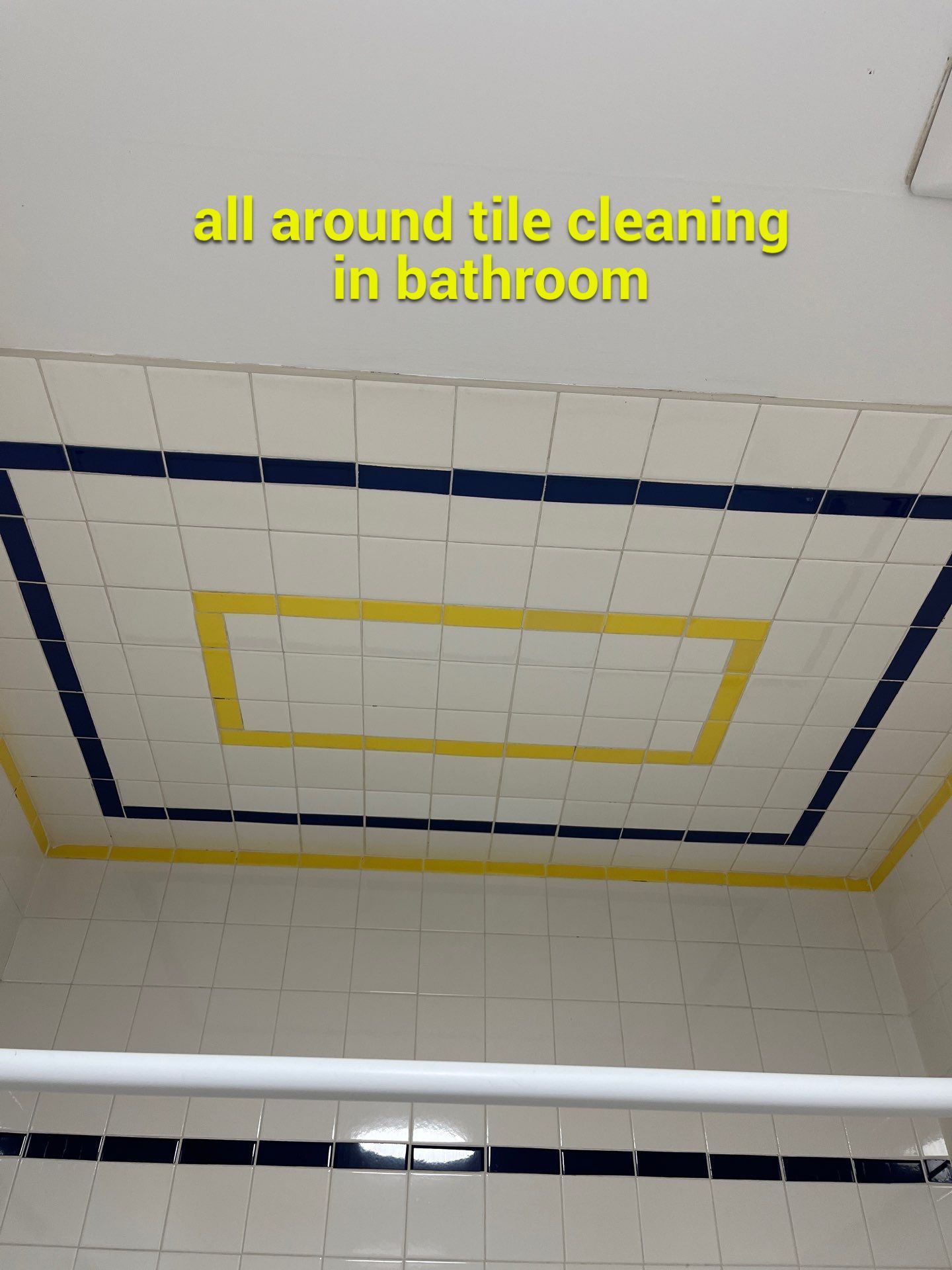 Project in Chicago by Xo Clean Services 