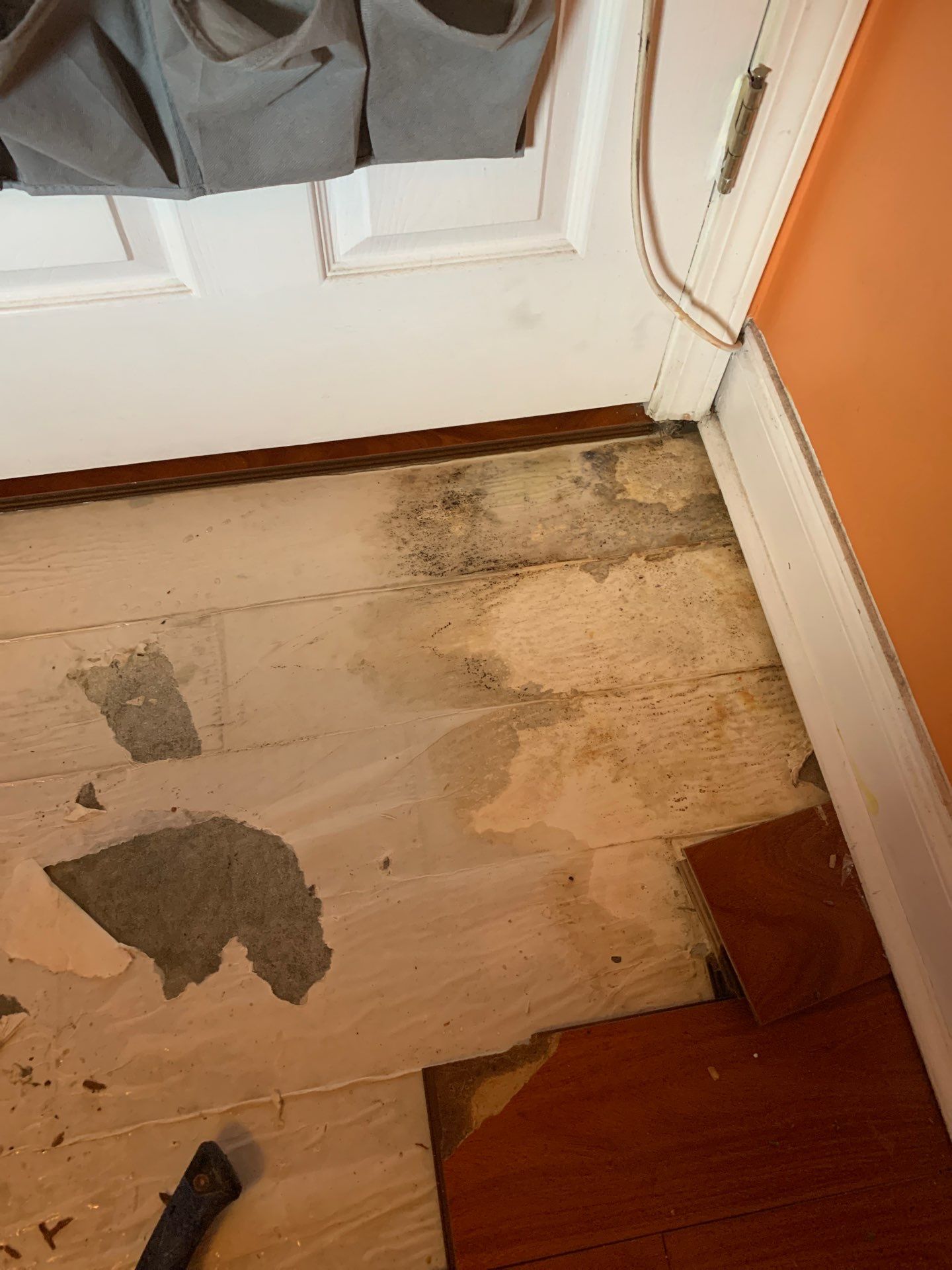 Emergency Water Loss Restoration by EAS Environmental, LLC.