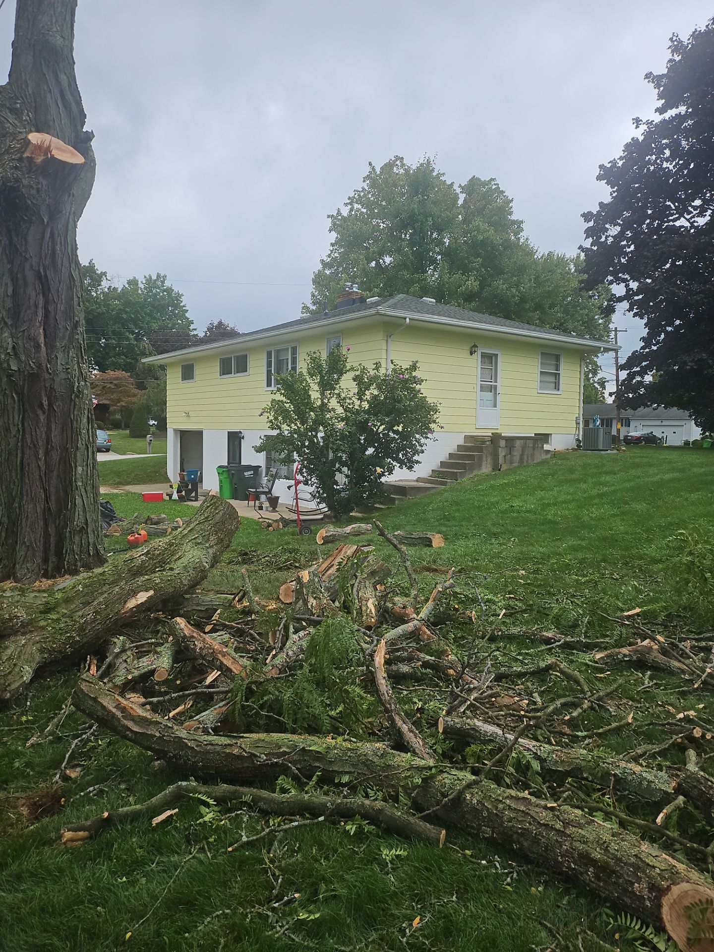 Tree Removal using Tree Removal by Mike Jones & Sons Tree Service LLC 