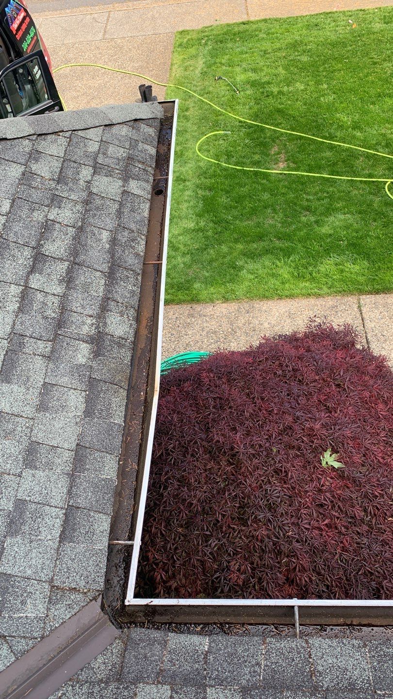 Softwashed in many Years back, and organic regrowth significant by DawnSky LLC