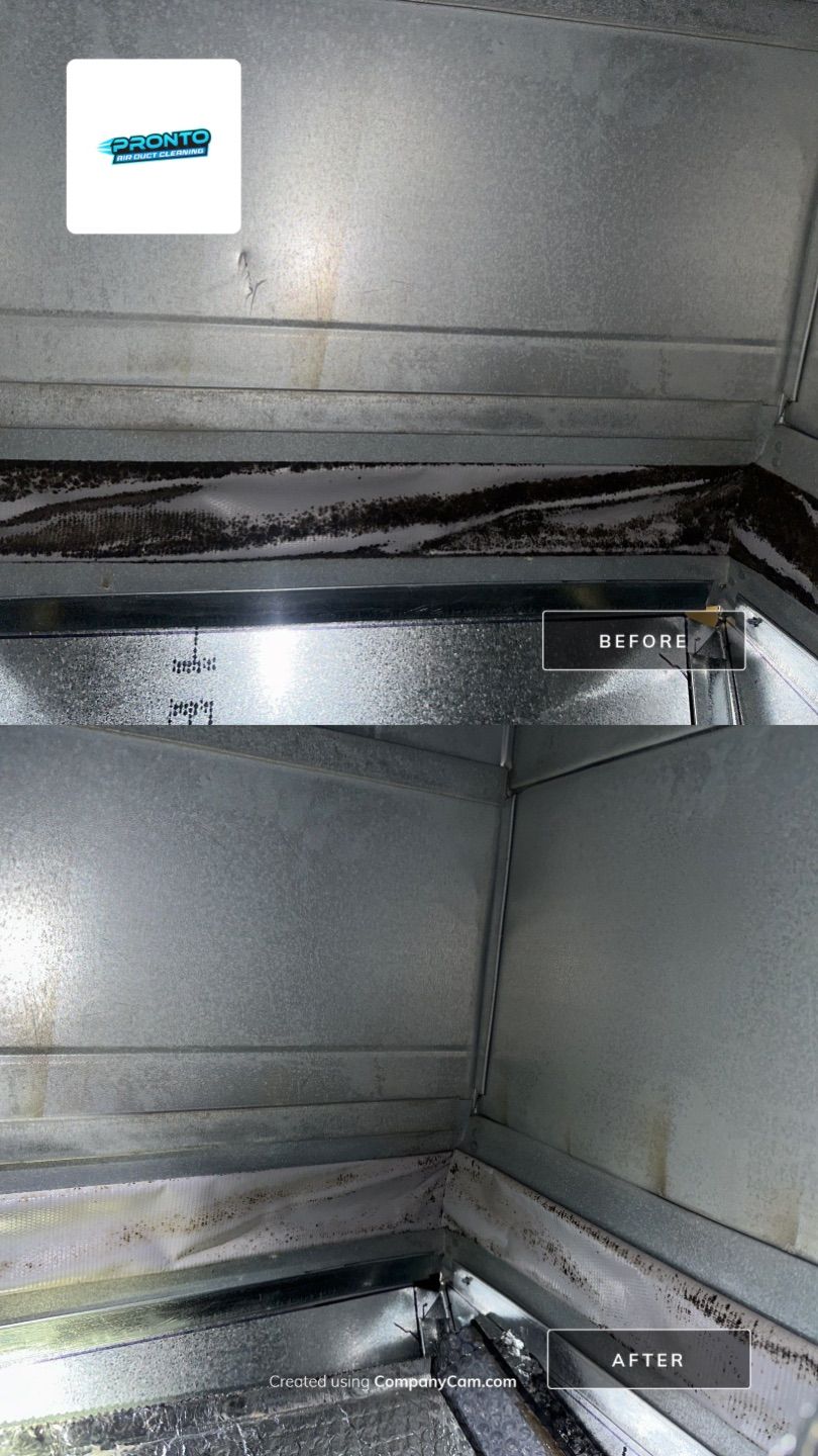 Air Duct Cleaning + Duct Treatment by Pronto Air Duct Cleaning