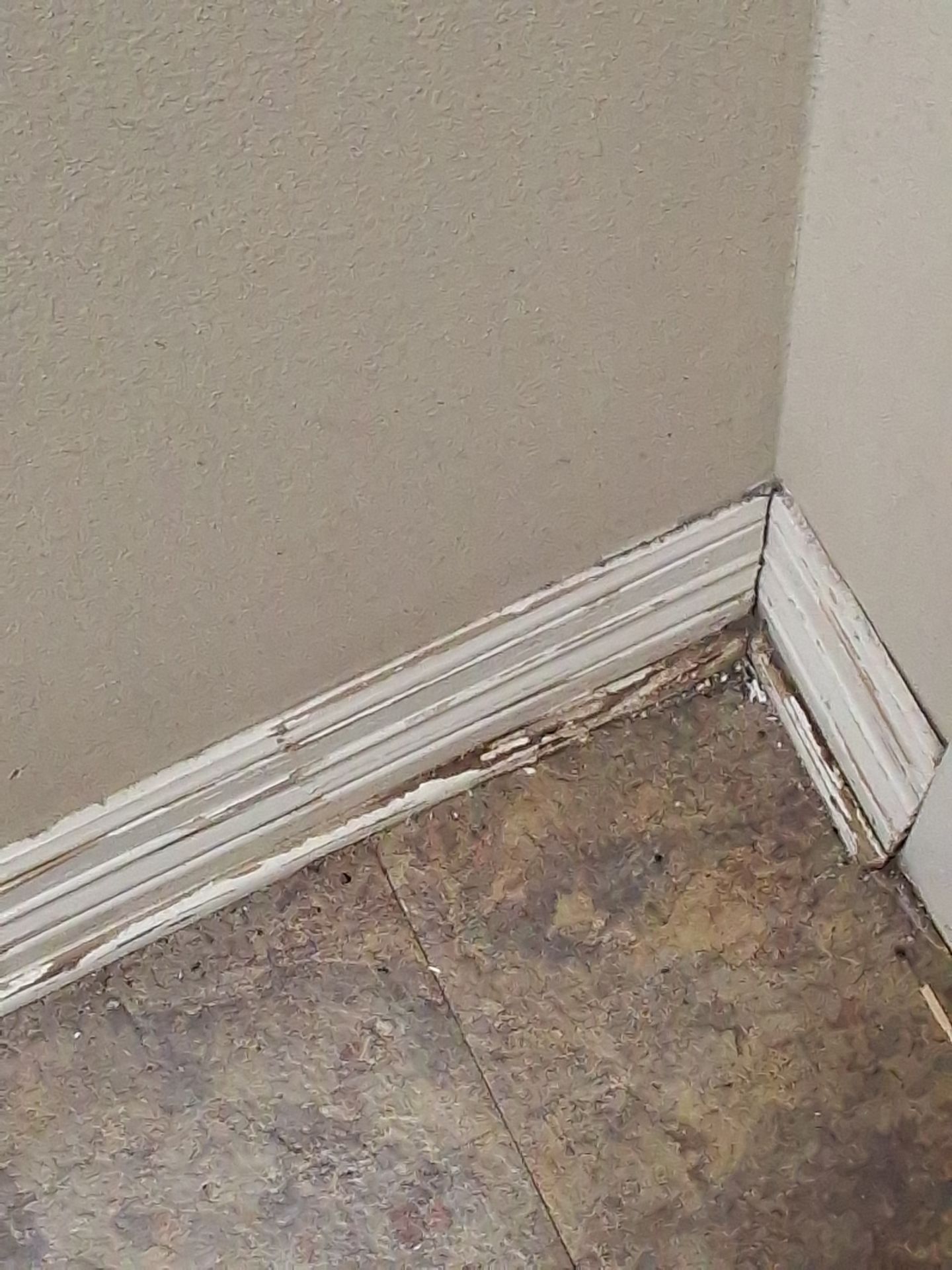 Commercial Interior Painting at KYKX 105.7 in Longview, TX by Quality Coats Painting