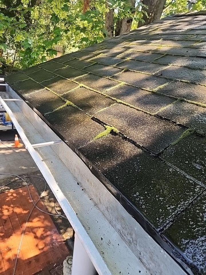 Gutter cleanup by Willamette Outdoor Wash LLC