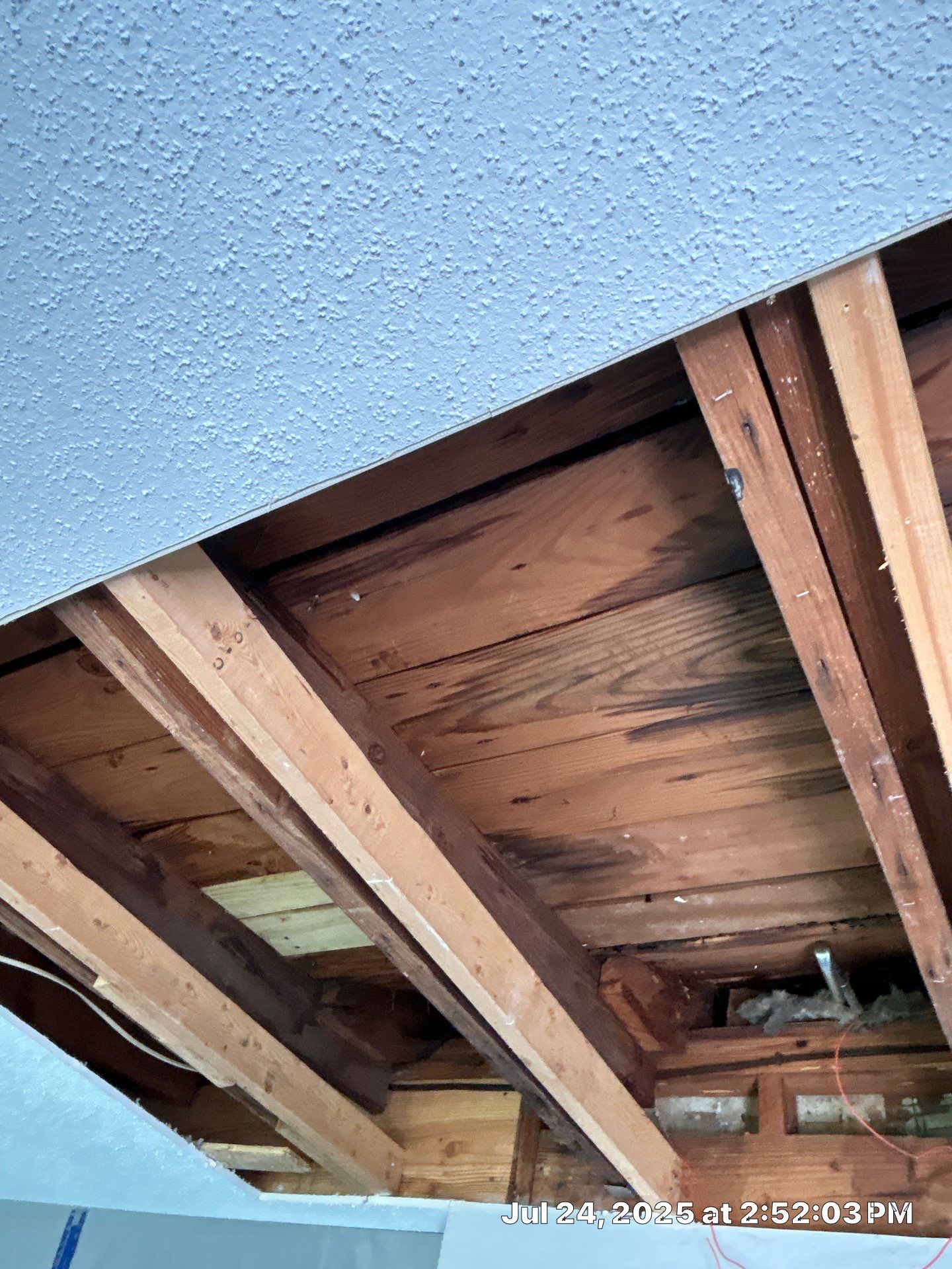 Mold Inspection & Mold Removal In St. Petersburg, FL by Ampm Restoration Services