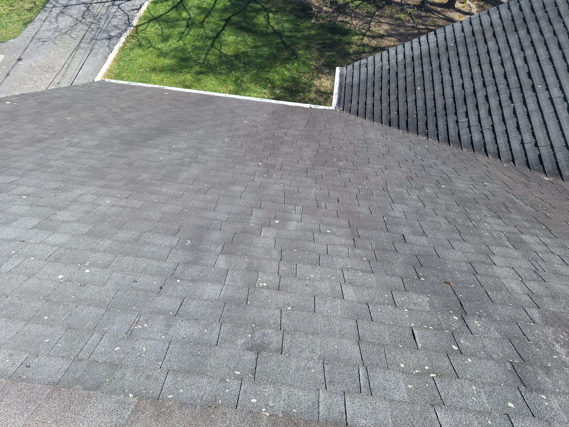 Silver Birch Shingles by Reimagine Roofing