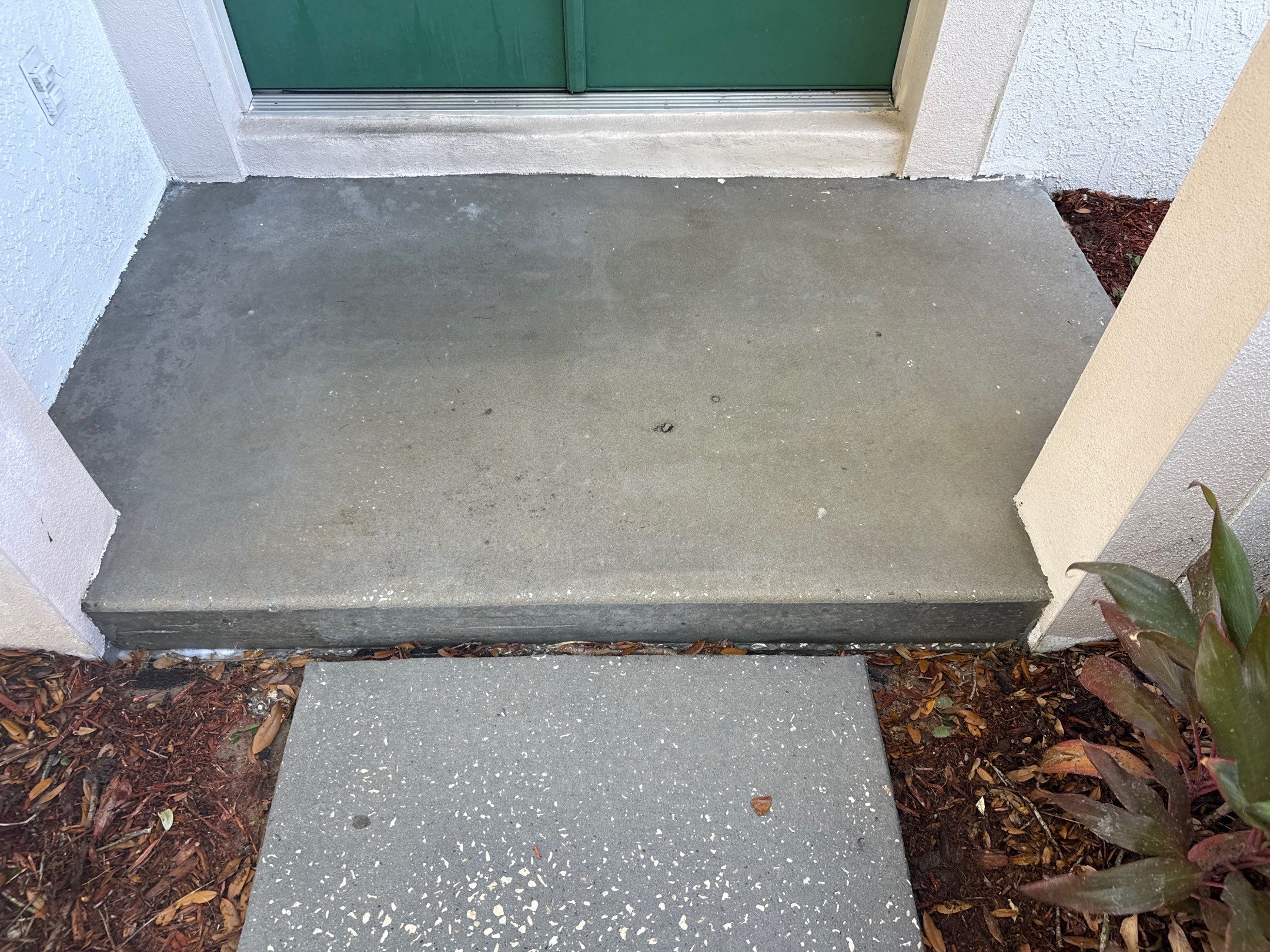 Concrete Driveway & Sidewalk Cleaning ā Peppermill IV at Providence Lakes, Brandon, FL by Sunshine AquaWash