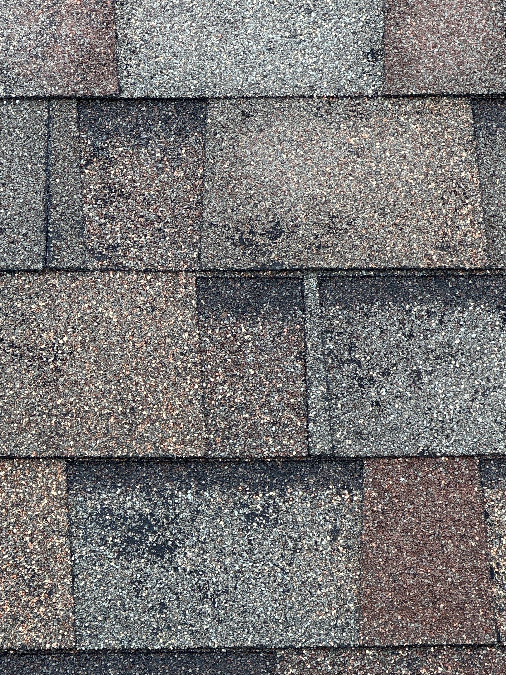 Malarkey Vista Shingle install in high wind neighborhood. by Weather-Tite Exteriors LLC