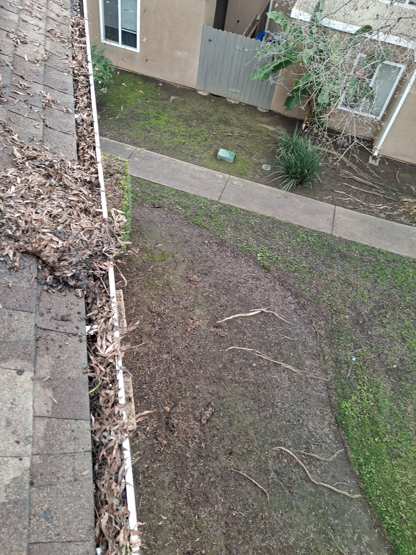 Commercial gutter cleaning Georgia before photo with filled gutters