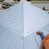 24ga 1" Nail-Strip Mill Finish by Total Roofing System The Metal Roof Experts