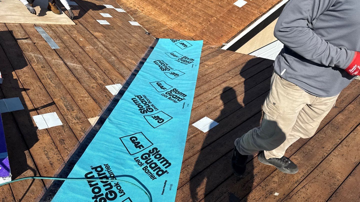 Willa Holmstock by NuLead Construction Inc