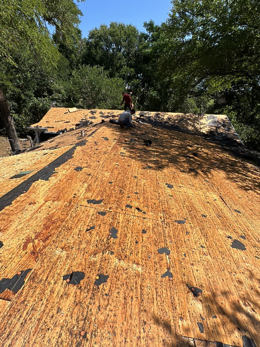 GAF HDZ - Hunter Green by Elite Roofing LLC