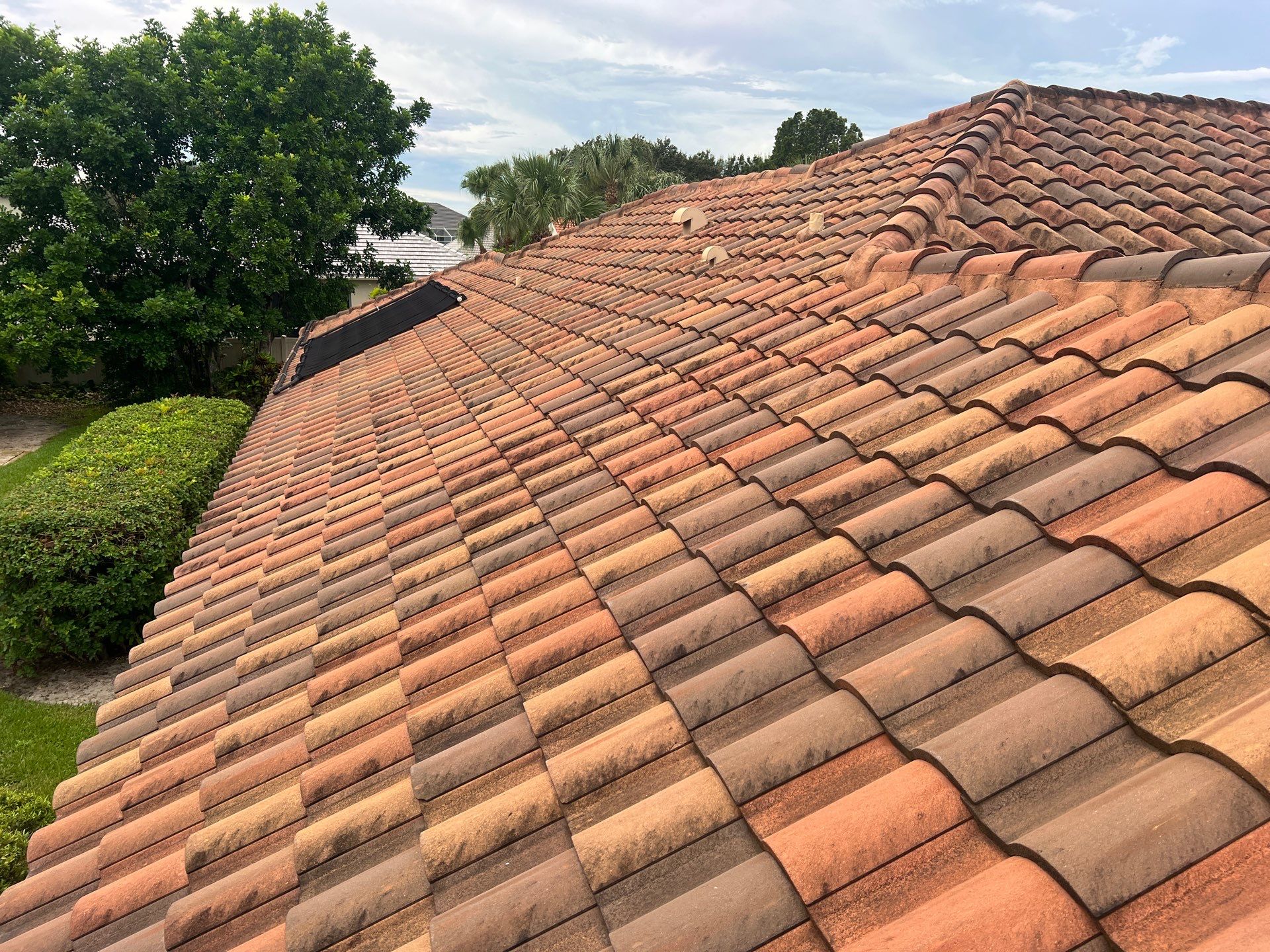 Tile Roof Soft Wash Cleaning by Durabilis Roofing INC