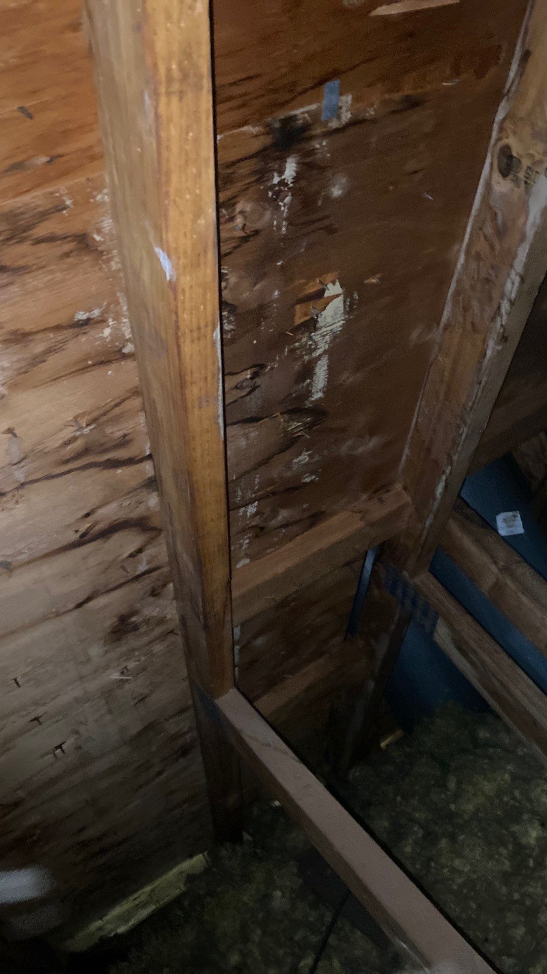 Alexandria: Residential Roof Replacement with CertainTeed Landmark Pro in Max Def Pewterwood by RM Banning, Inc.