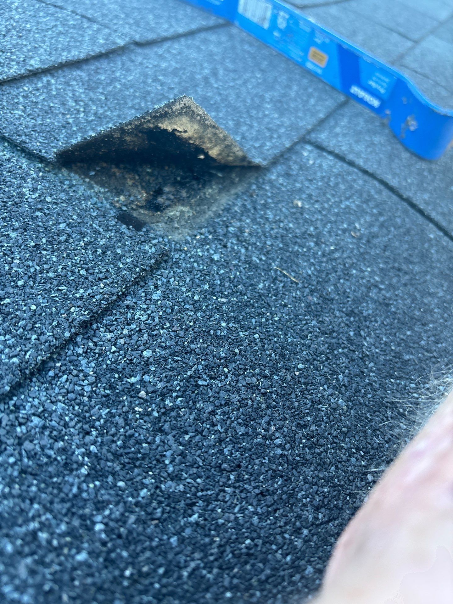 Project in Richmond by Roof Maxx of Midlothian