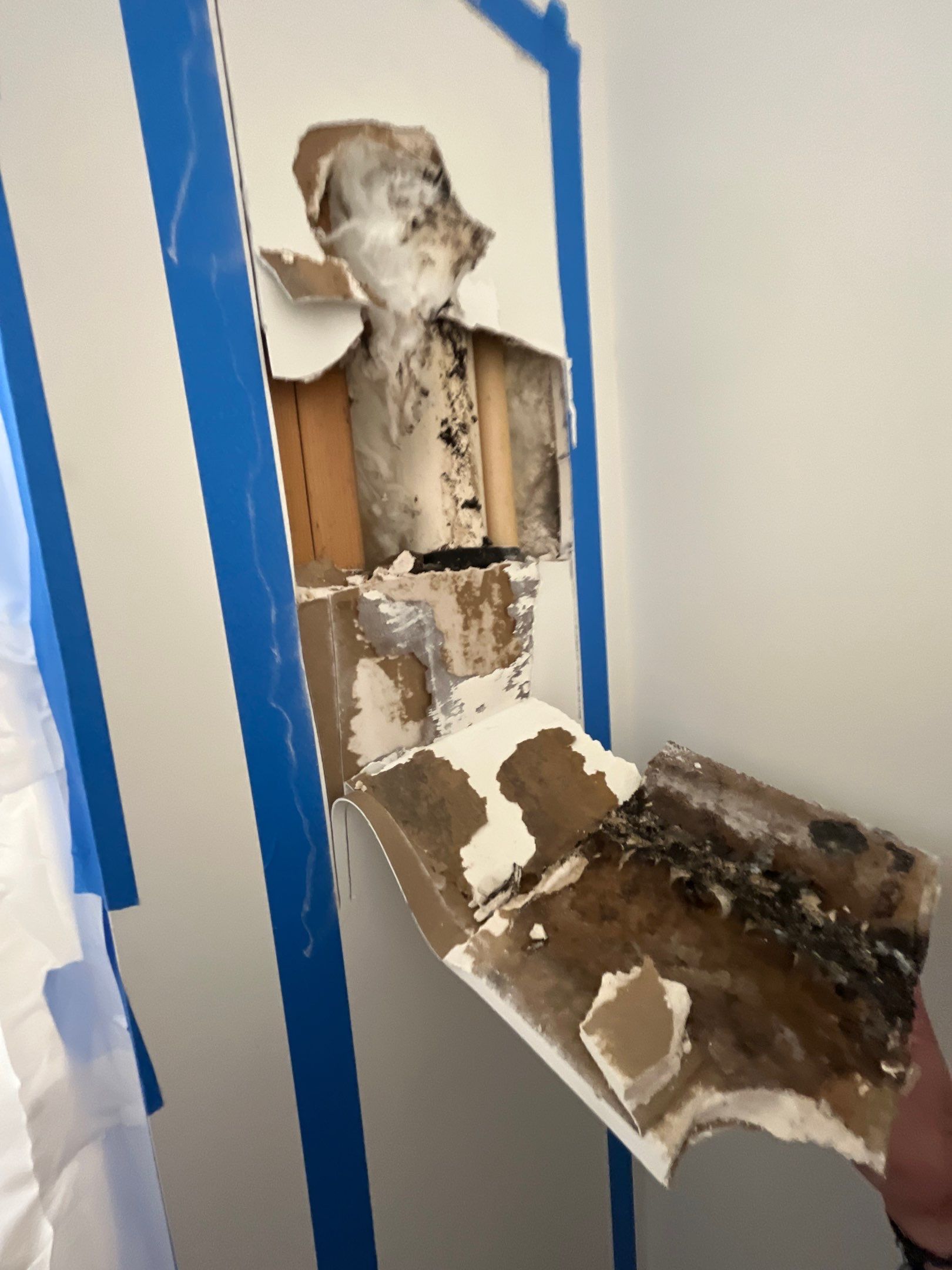 Mold Investigation by EAS Environmental, LLC.