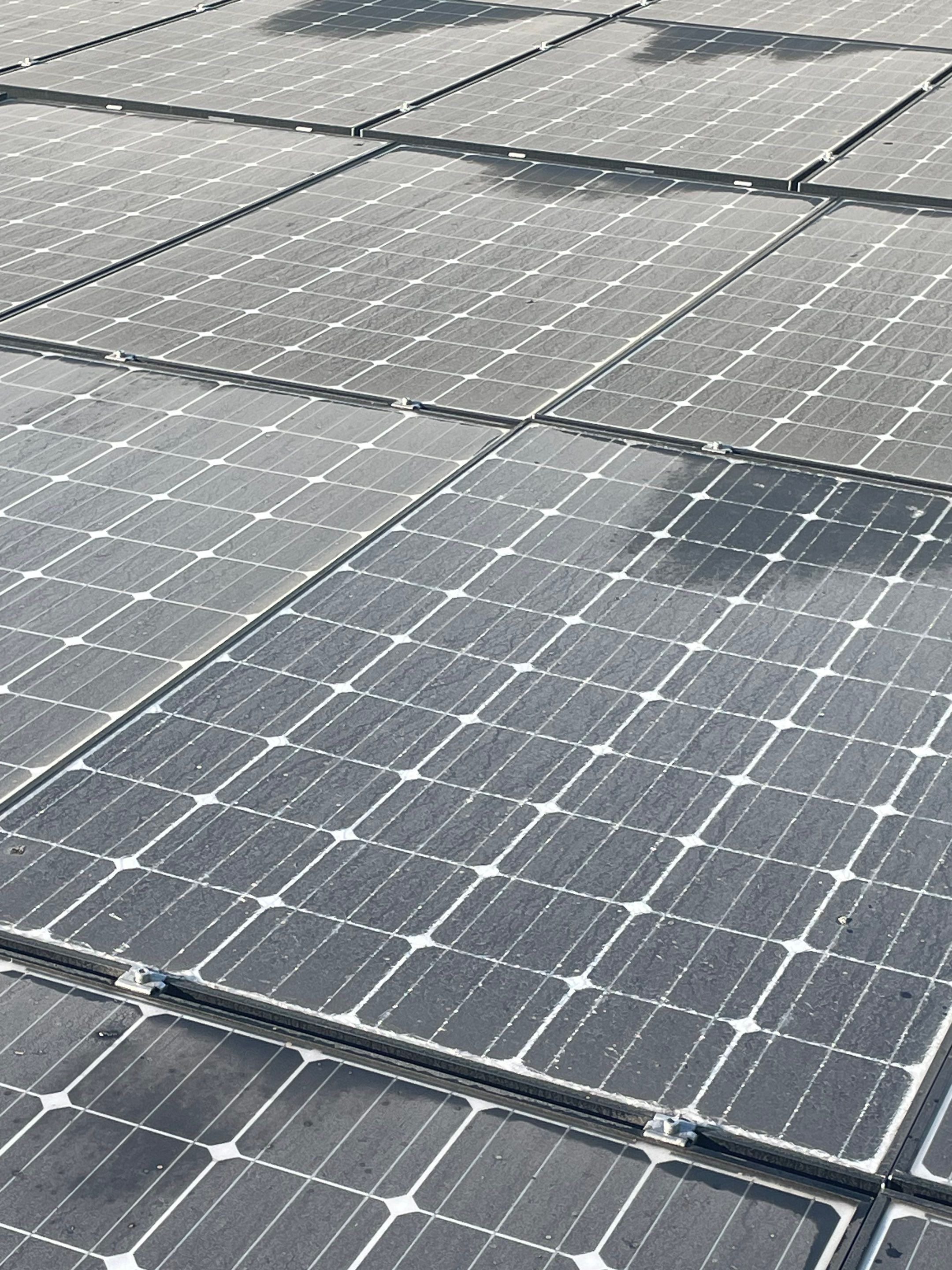 Commercial Solar Panel Cleaning for Chandler School in Pasadena Ca by Palm Coast Solar Cleaning