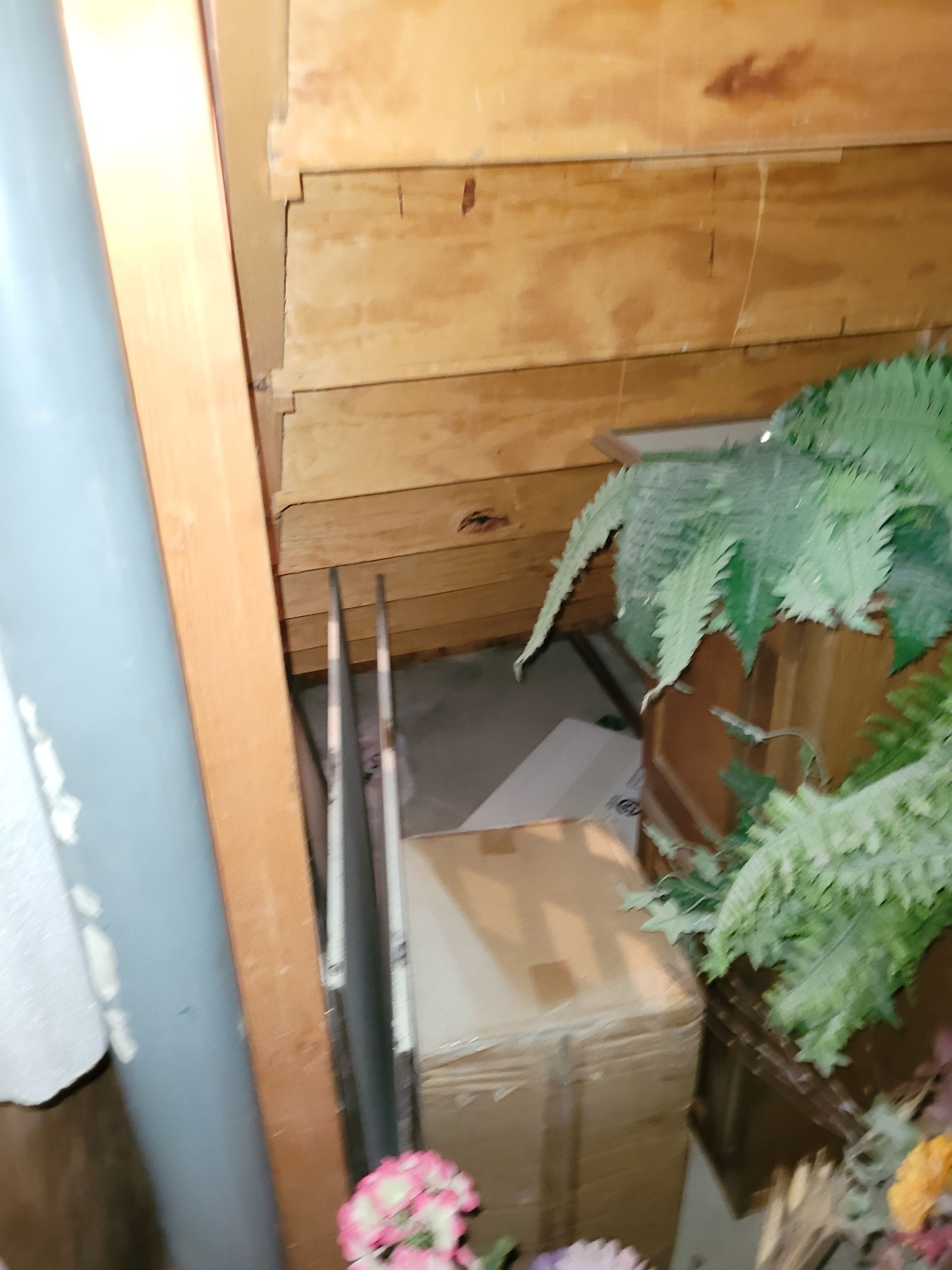 Water Damage Project in Lone Tree by Accountable Home Services