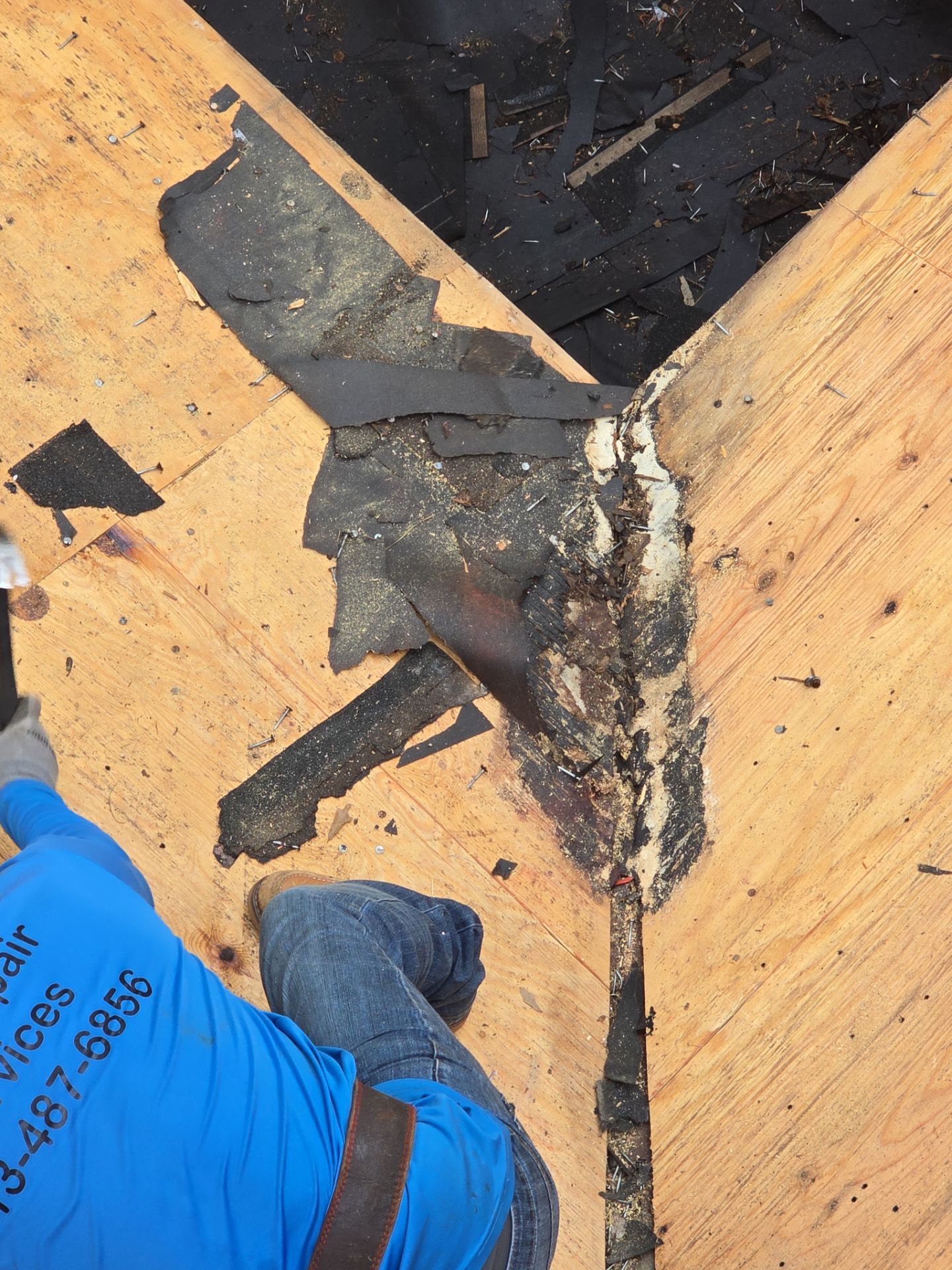 Roof Replacement Spring by Roof Repair Company
