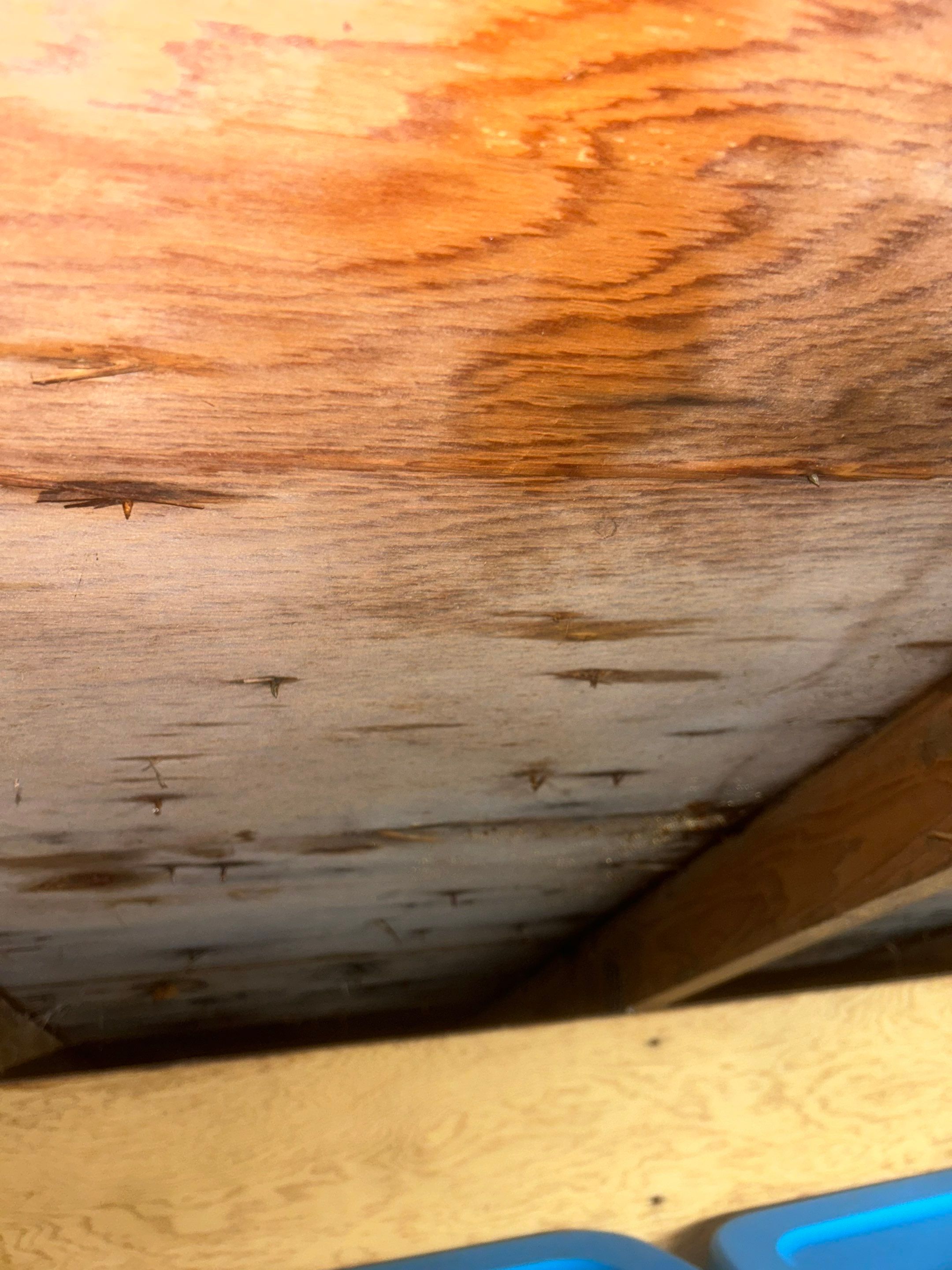 Project in Shoreline by Connolly Construction Company