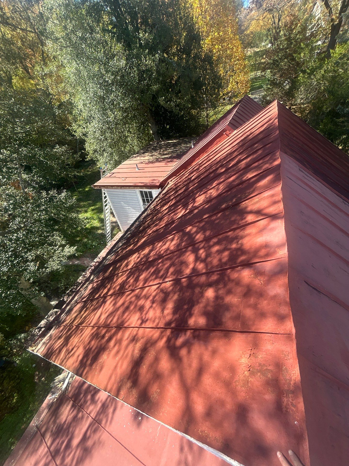 Alexandra: Residential Metal Roofing  by RM Banning, Inc.