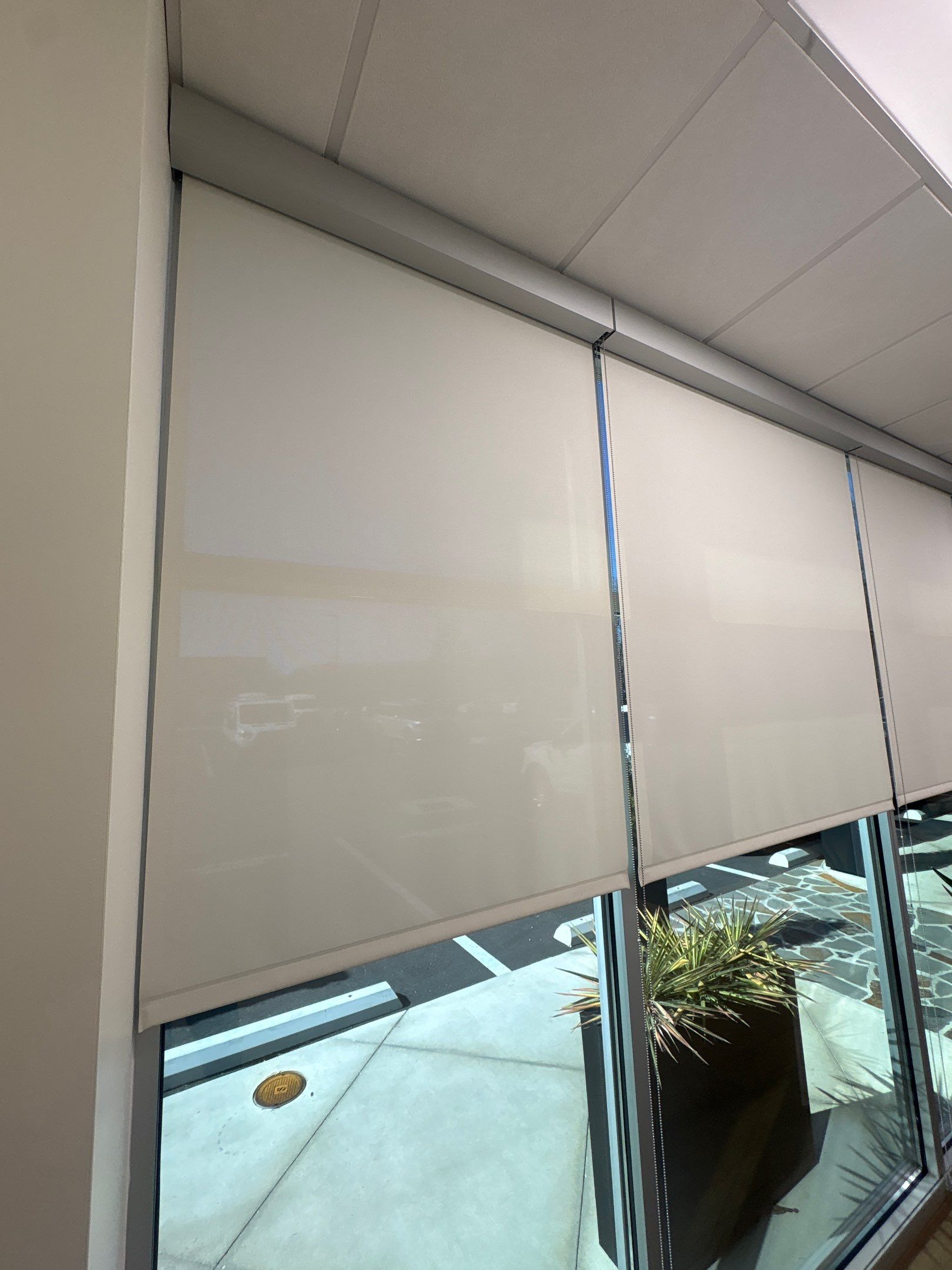 Commercial Roller Shades Project in Huntsville by Blinds and Borders