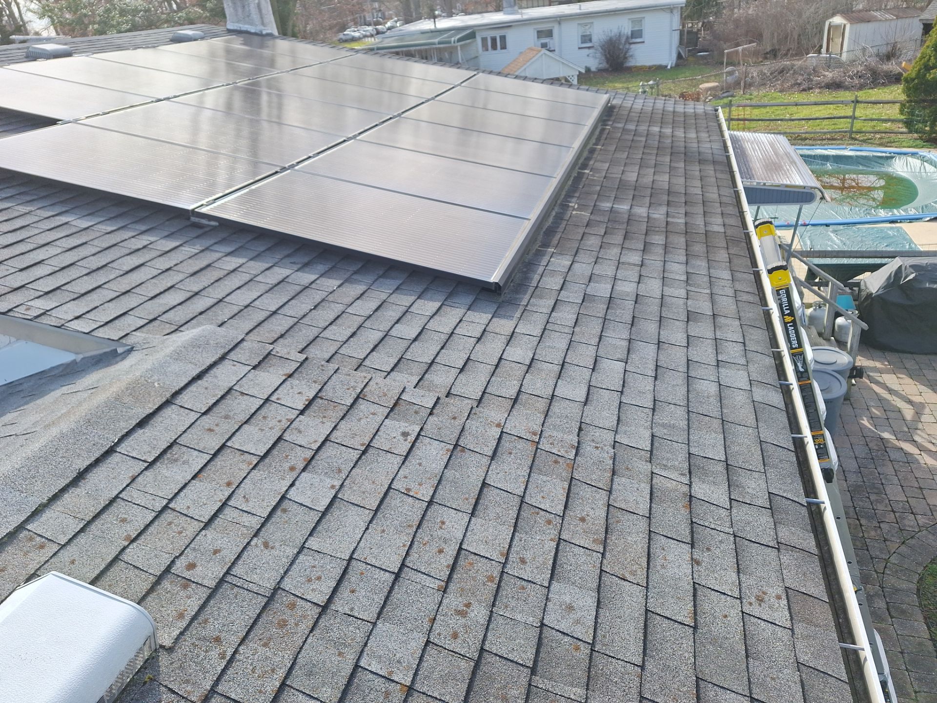 Silver Birch Shingles by Reimagine Roofing