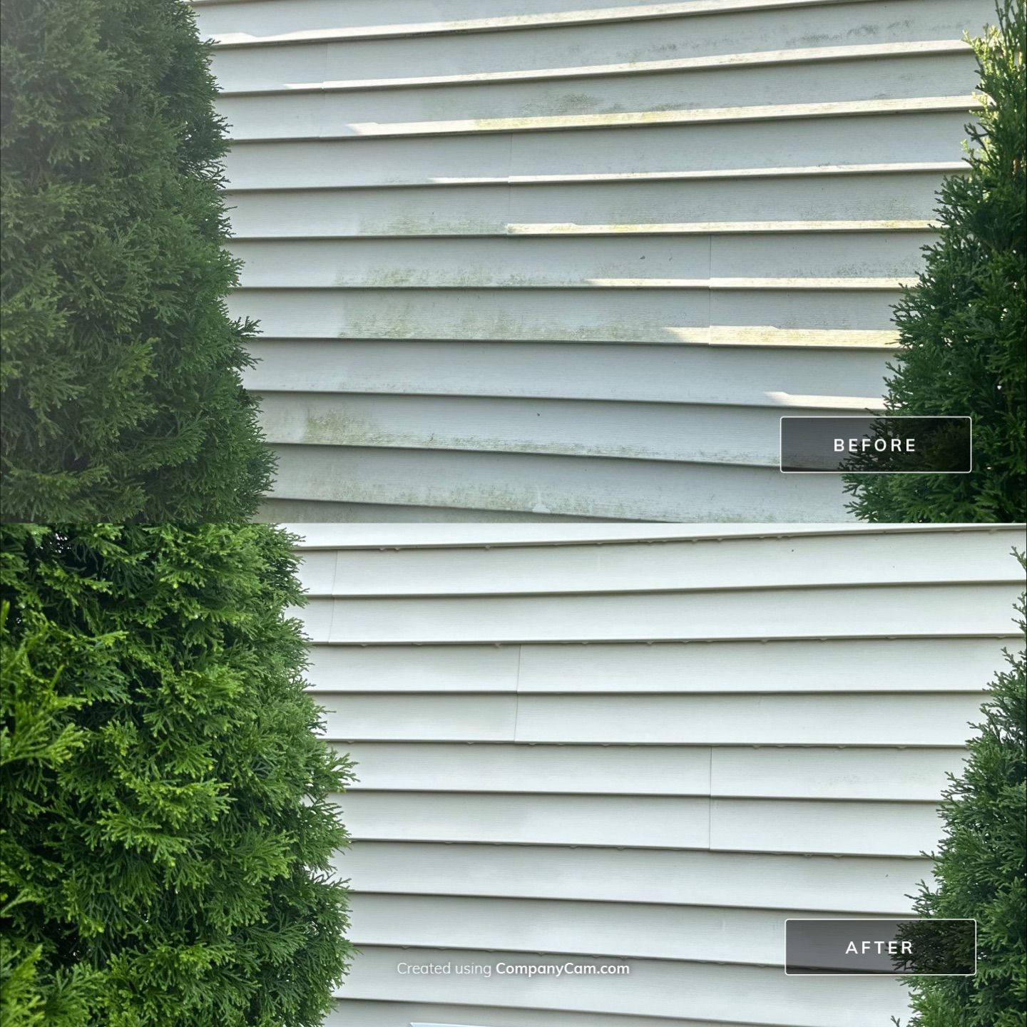 Project in Volo by Simmons Power & Soft Washing