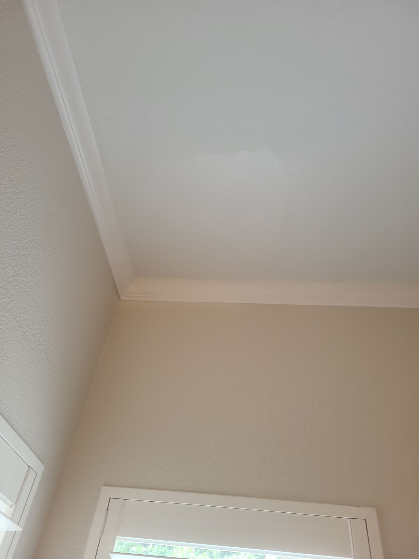 Covered Patio Remodel in The Woodlands by SophAlx LLC