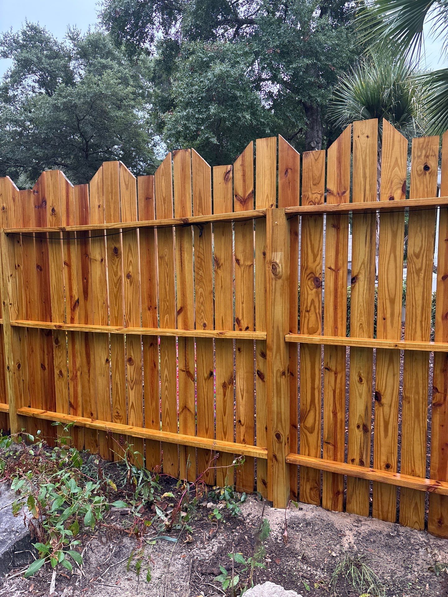 Fence using Wood Sealant by DuraSeal