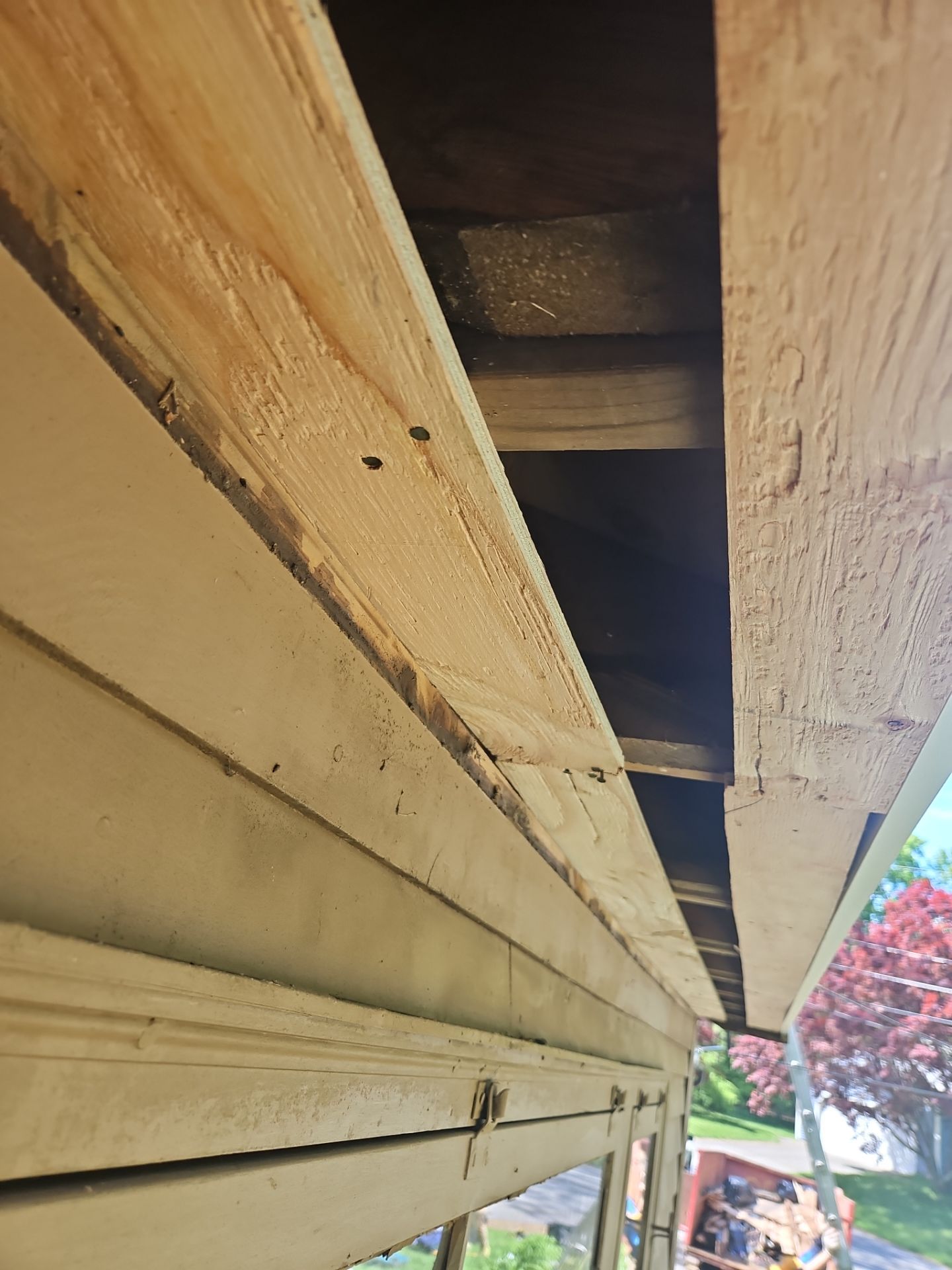 Siding & Roofing | Westford by Mighty Dog Roofing of Greater Middlesex County