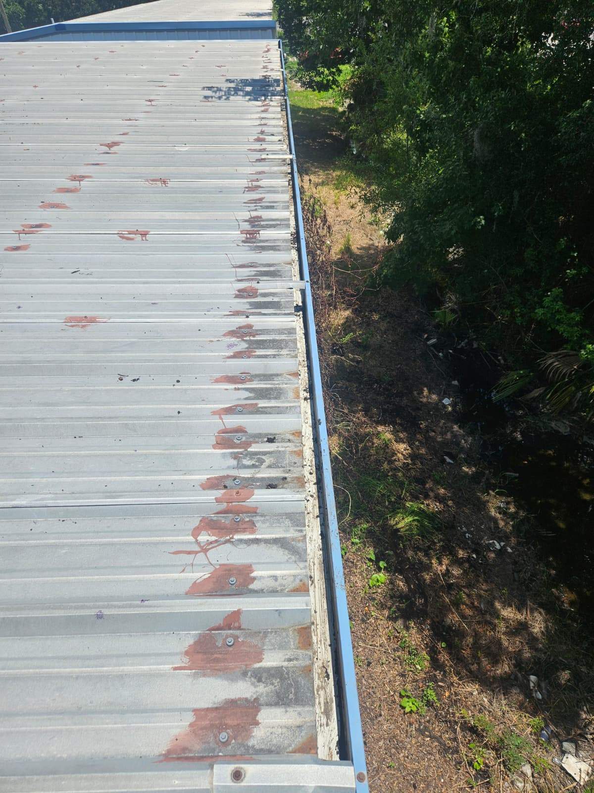 Clean Gutters and Seal Seams in Lakeland FL by Gutter Professors