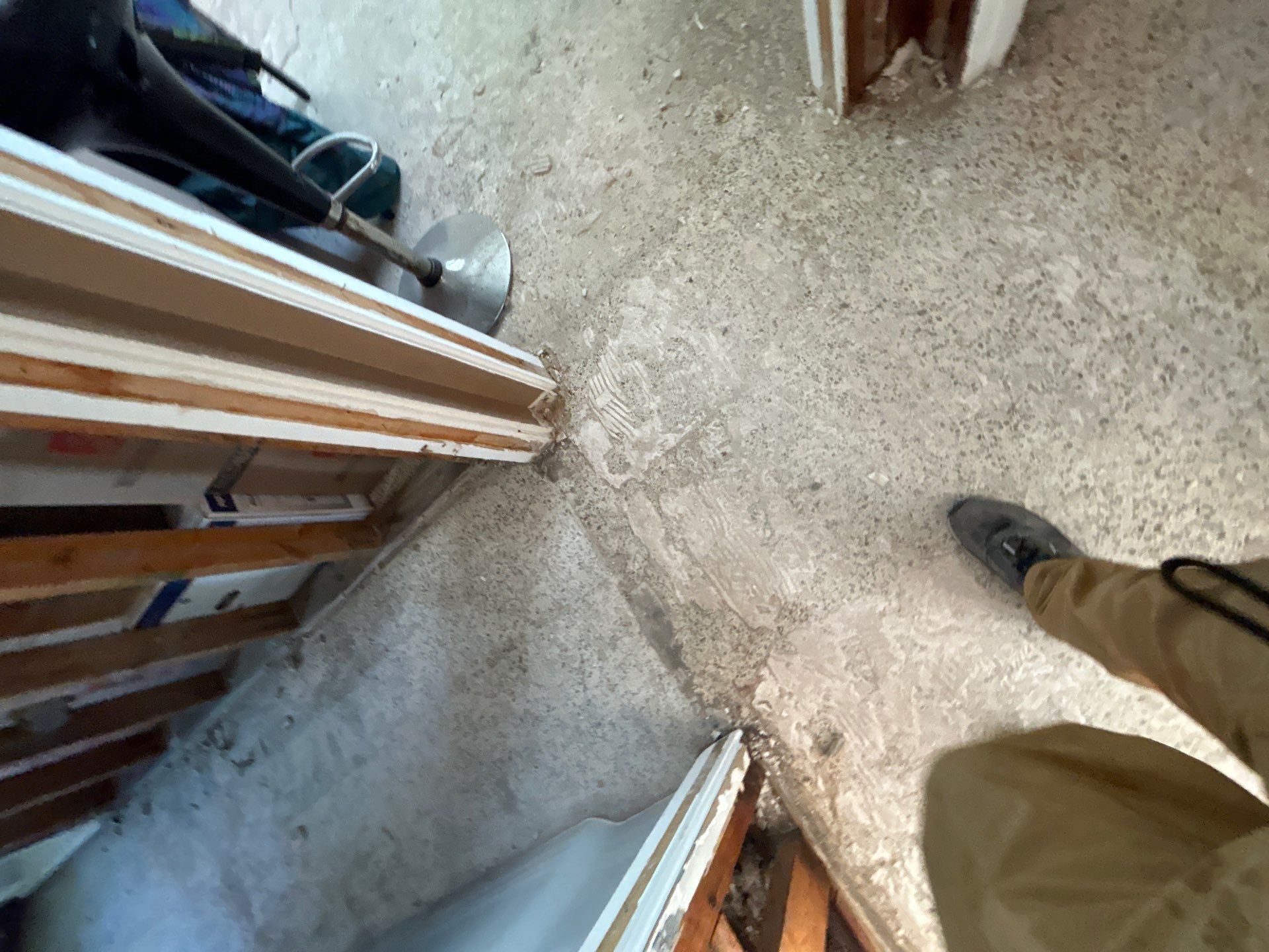 Mold Remediation + Reconstruction Bradenton by Ampm Restoration Services
