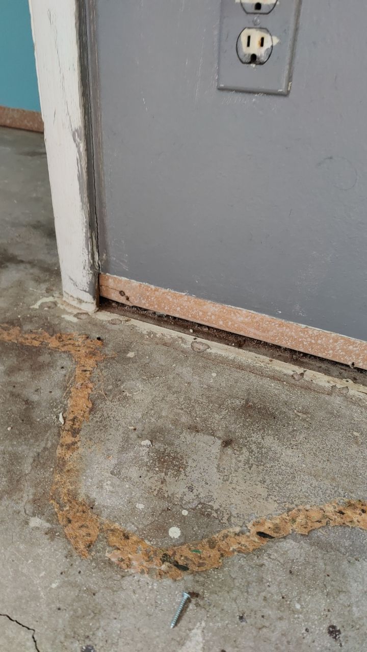 Mold Remediation by Accountable Home Services