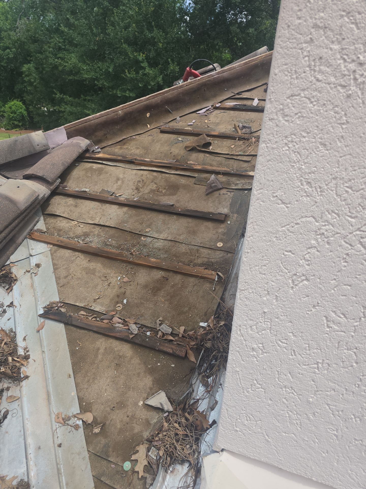 Roof Repair Spring by Roof Repair Company