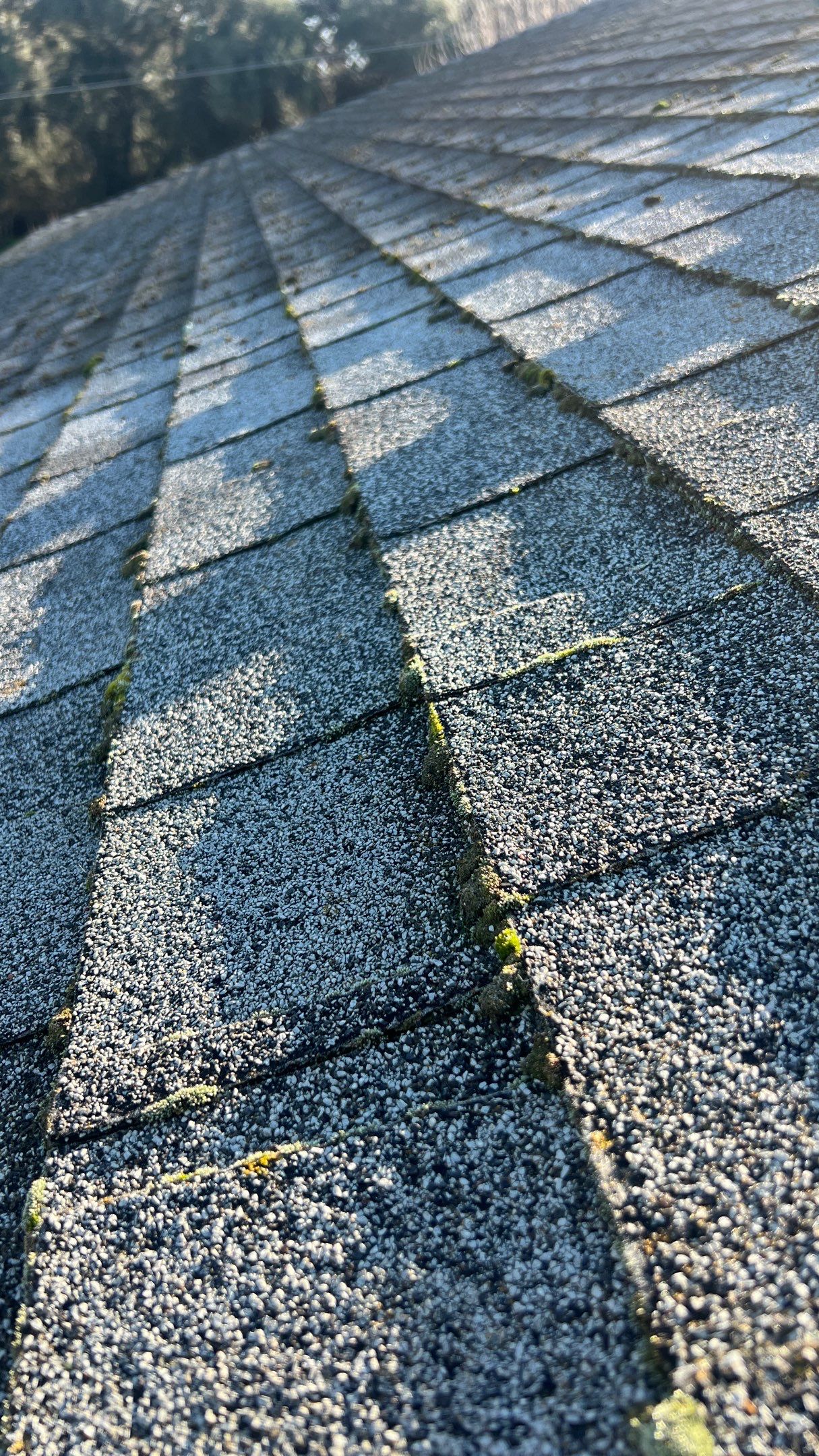 Roof Rejuvenation using Roof Maxx Treatment by Roof Maxx of Folsom