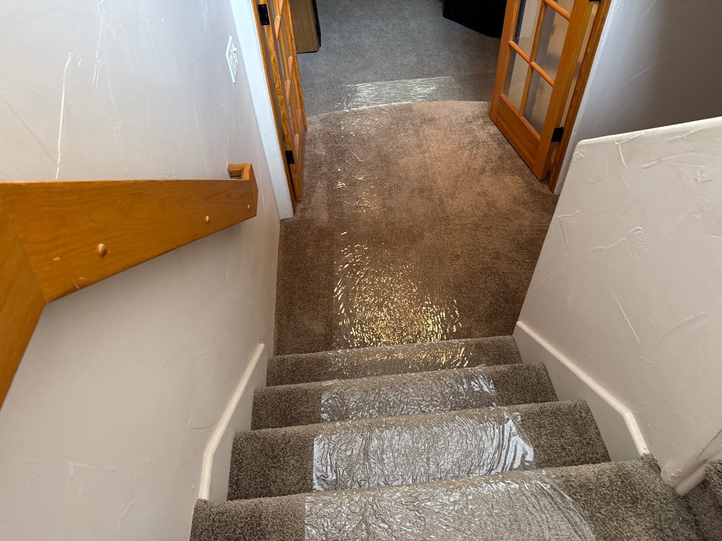 Mold Damage Project in Castle Rock by Accountable Home Services