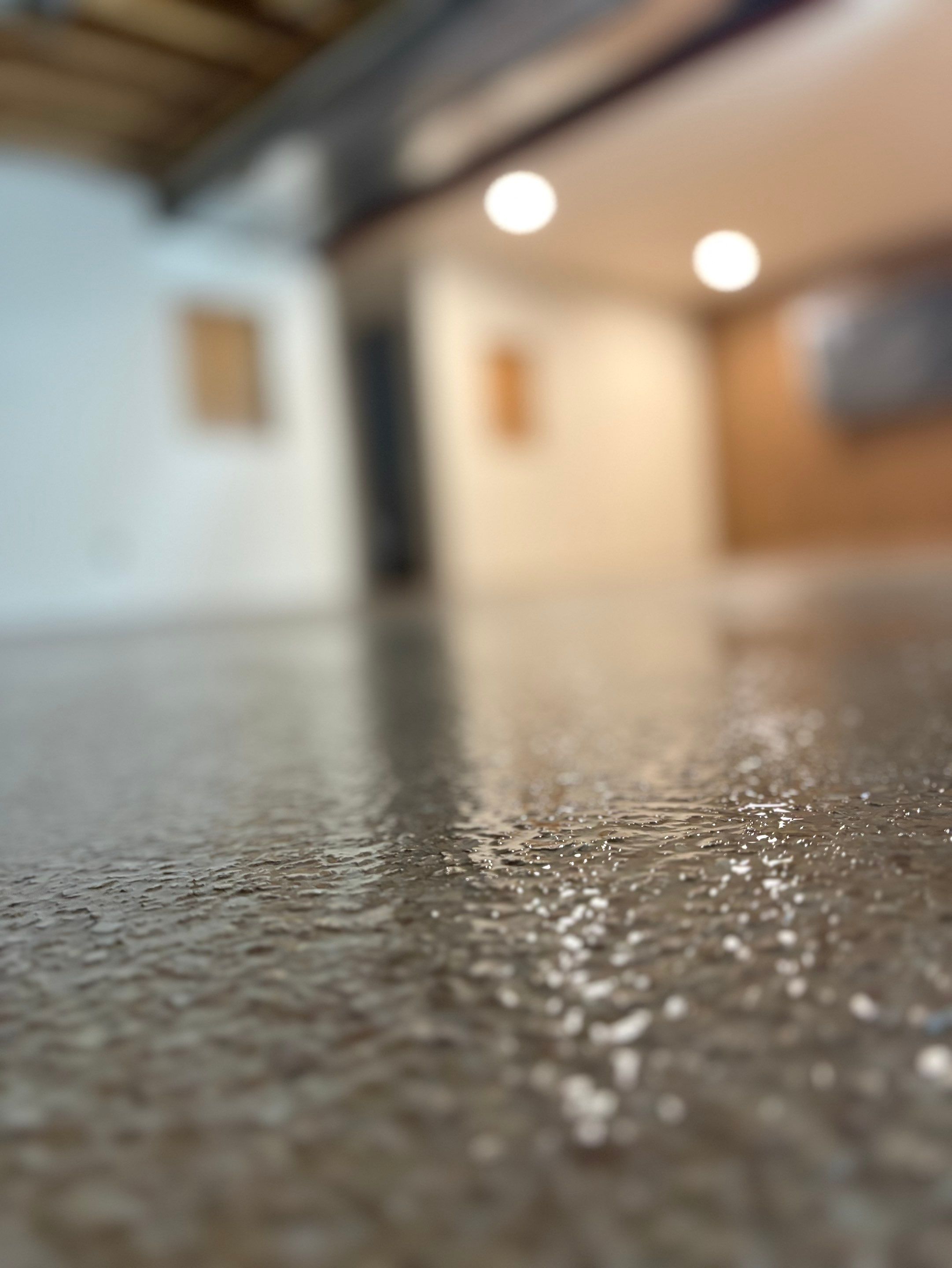 Custom Chip Concrete Coating for Colman Basement and Garage by Select Painting, Coatings & Garage Cabinets