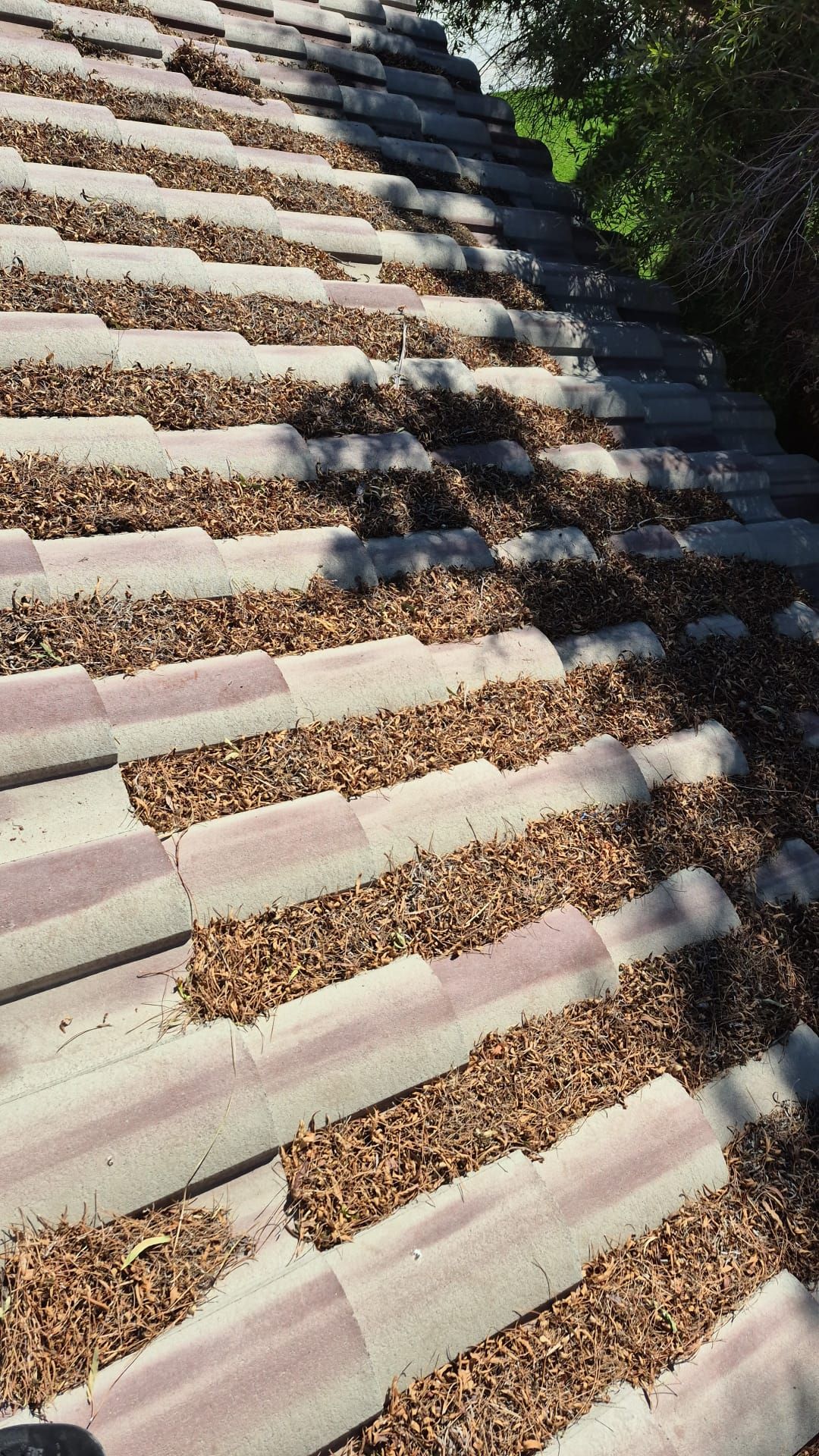 Single story netting. by Solar Honest Cleaning 