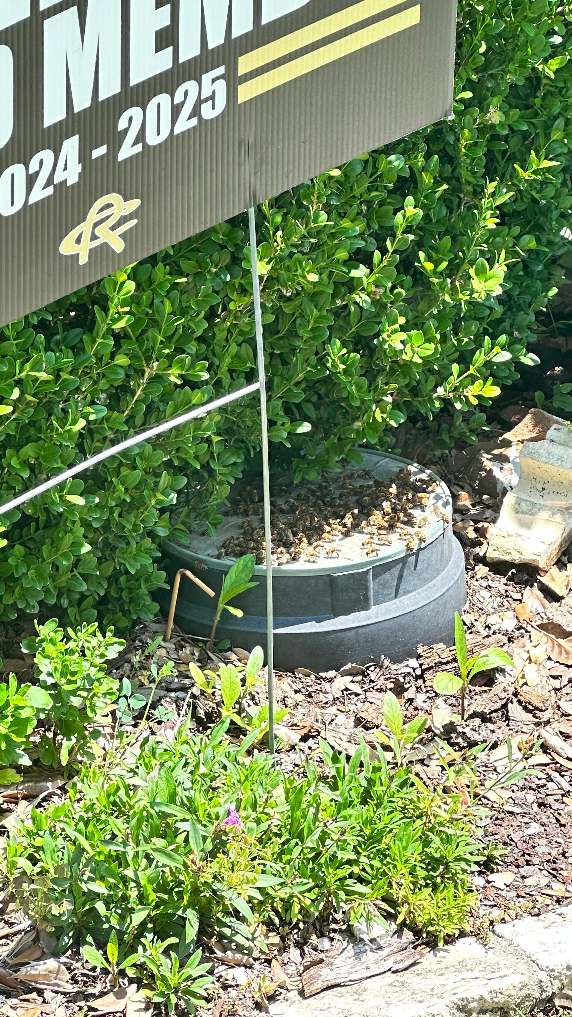 Irrigation Box by Rockwall Honey Bee Company