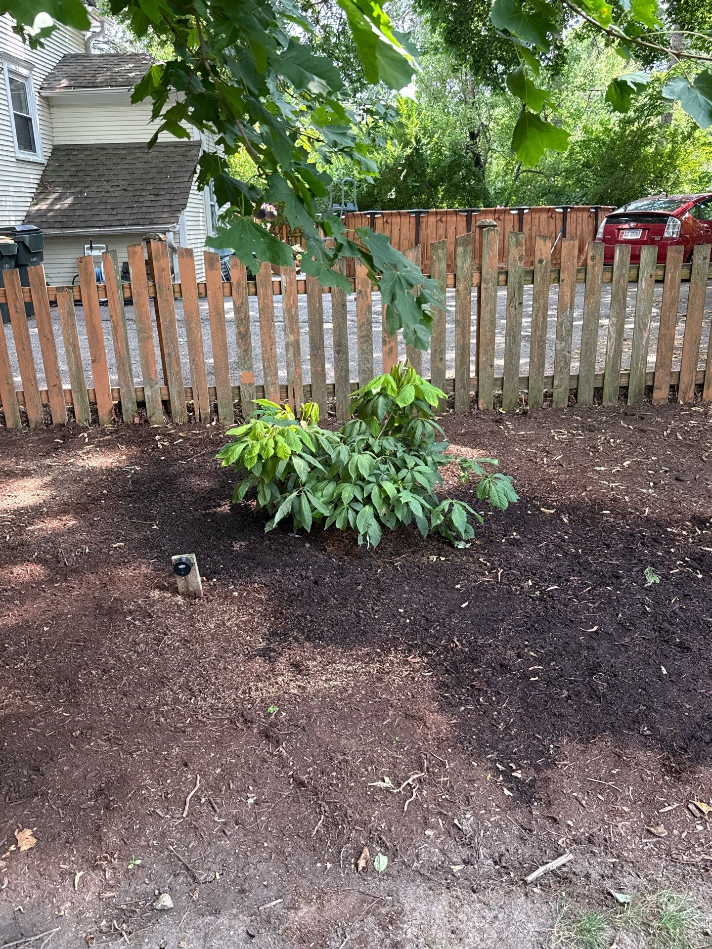 Scott M. - Arlington Heights, IL by A&N