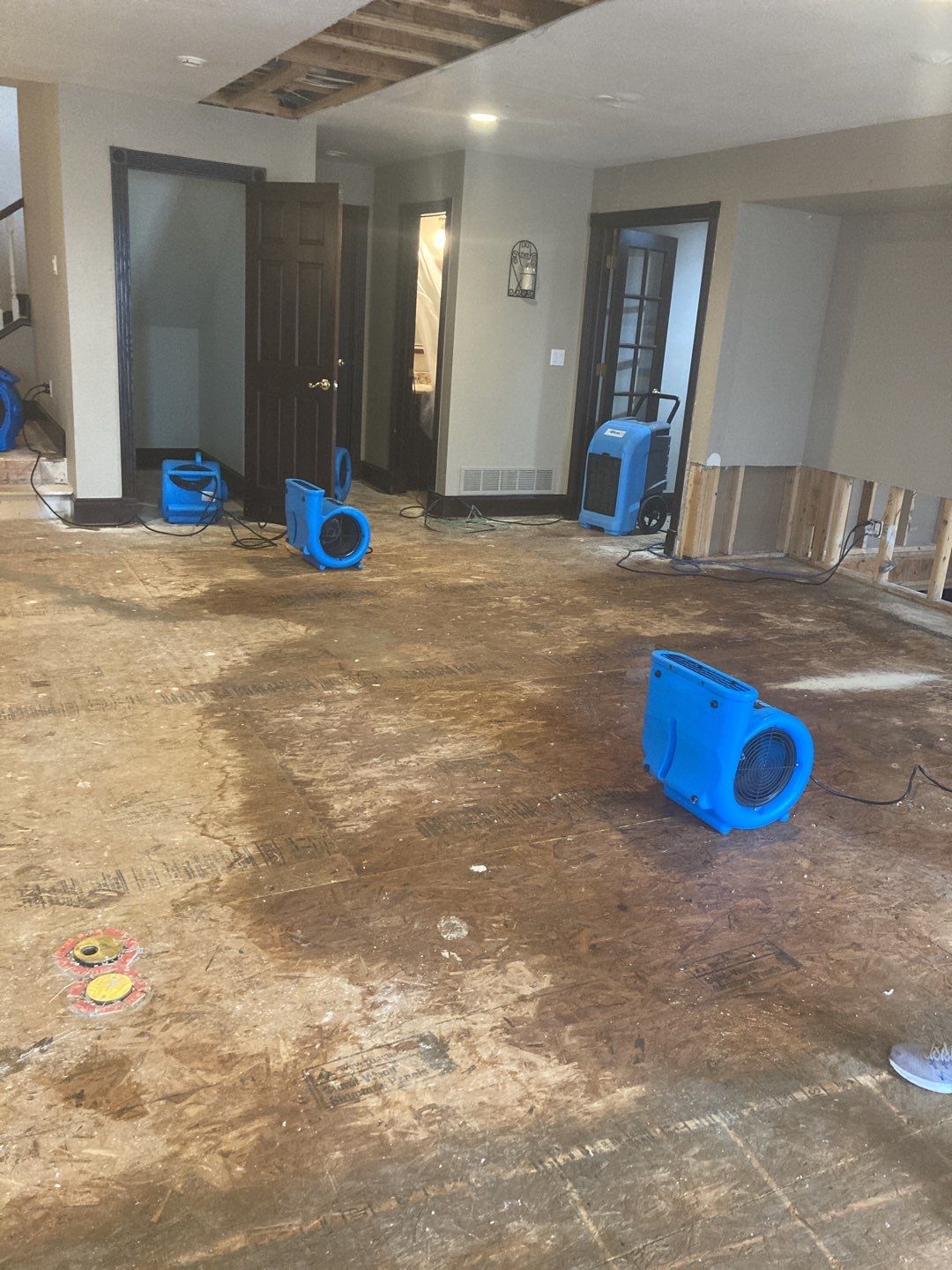 Water Damage Throughout Main Floor, Basement, and Crawl Space by Accountable Home Services