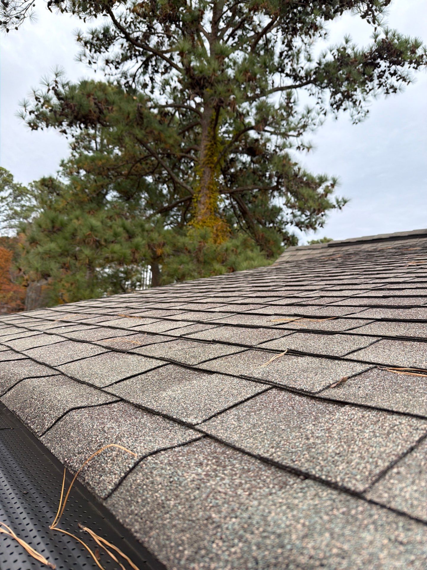 Waterfront Roof Replacement in White Stone, VA by Cade Construction