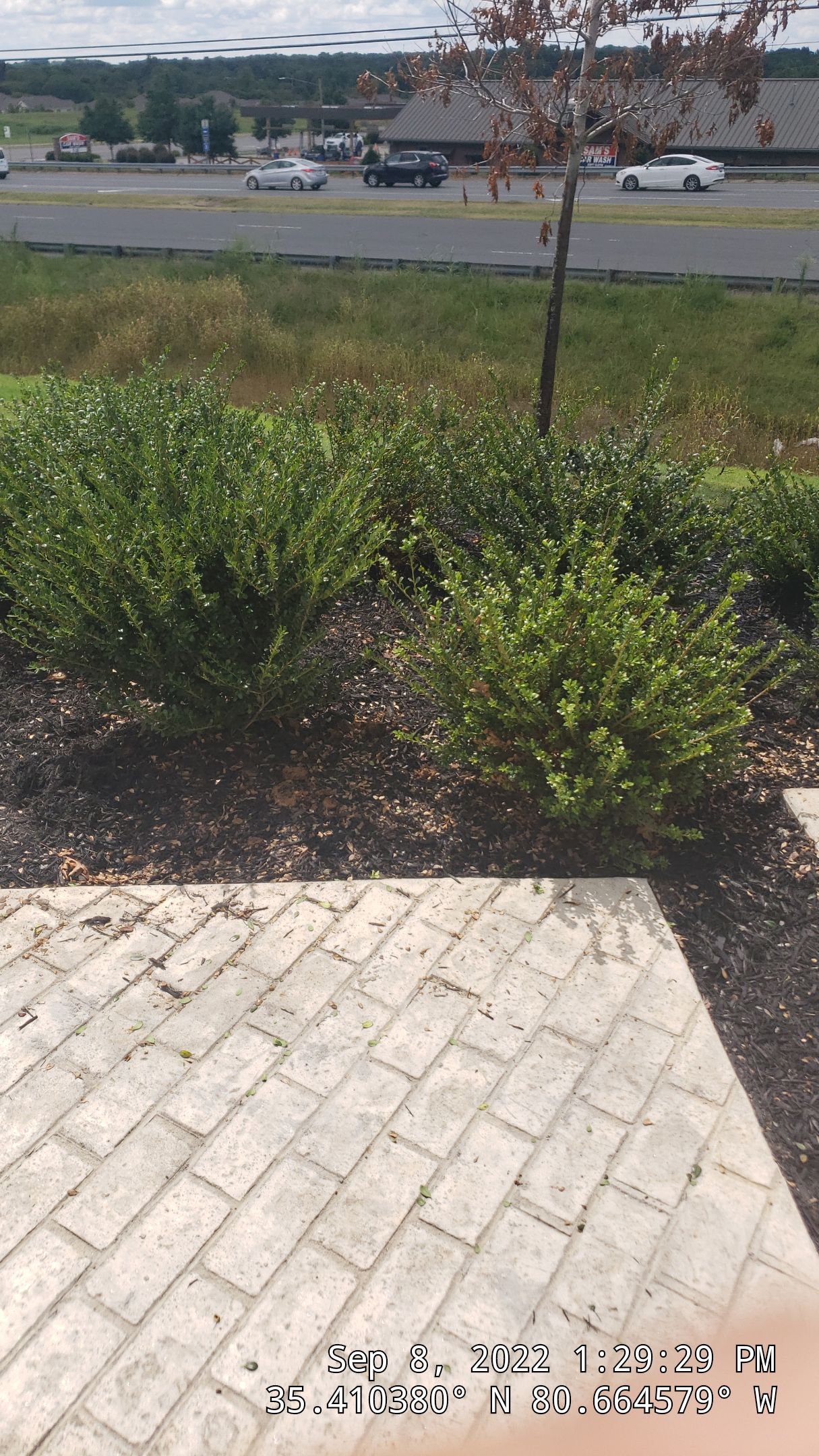 Commercial Landscaping Harris Teeter Fuel Station by Carolina-Metro Landscape, Inc