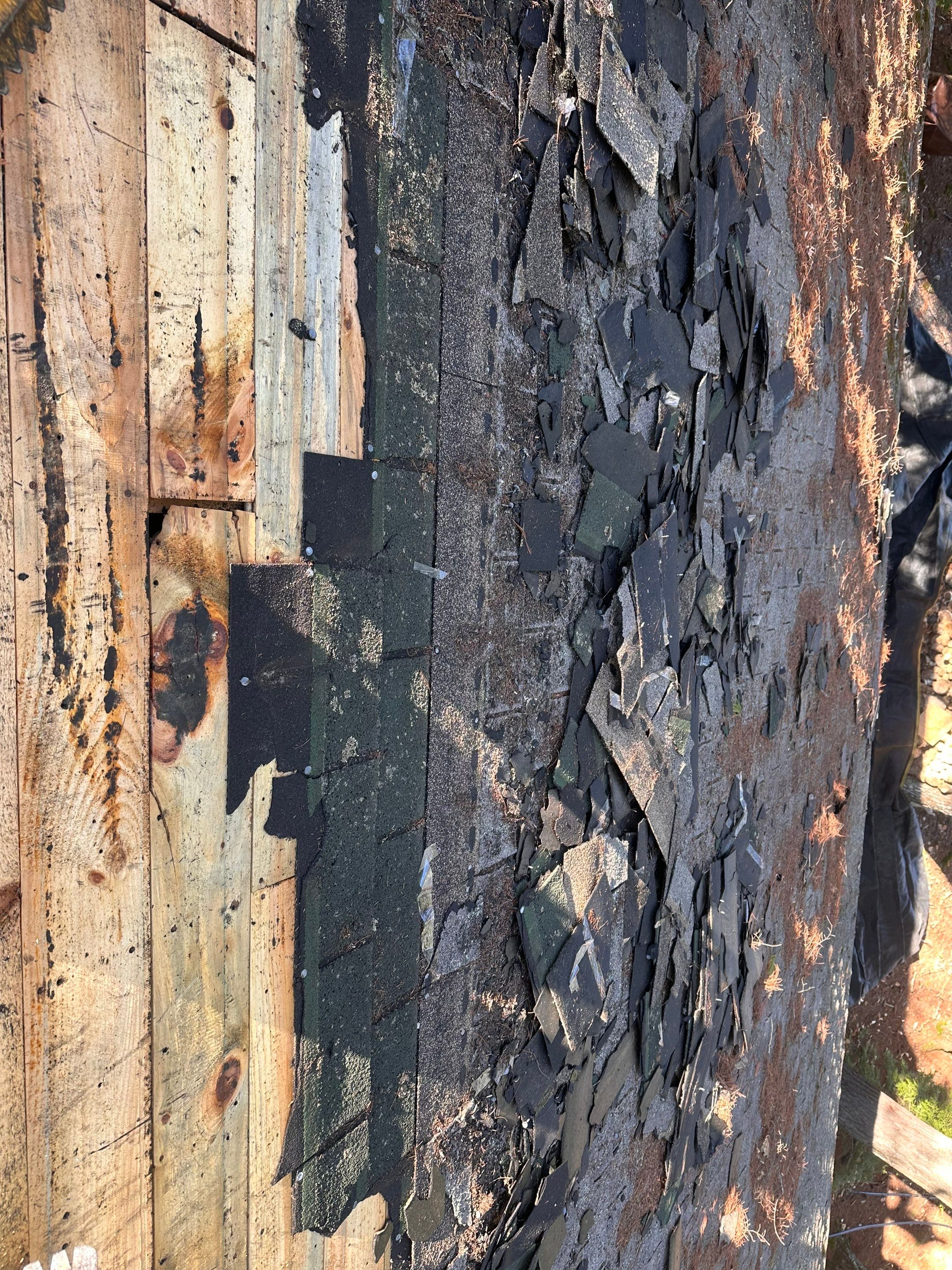 Wooden Cabin Exterior Improvements and Outdoor Shower Build in Bristol by Tall pine roofing