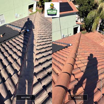 Barrel Tile Roof Cleaning