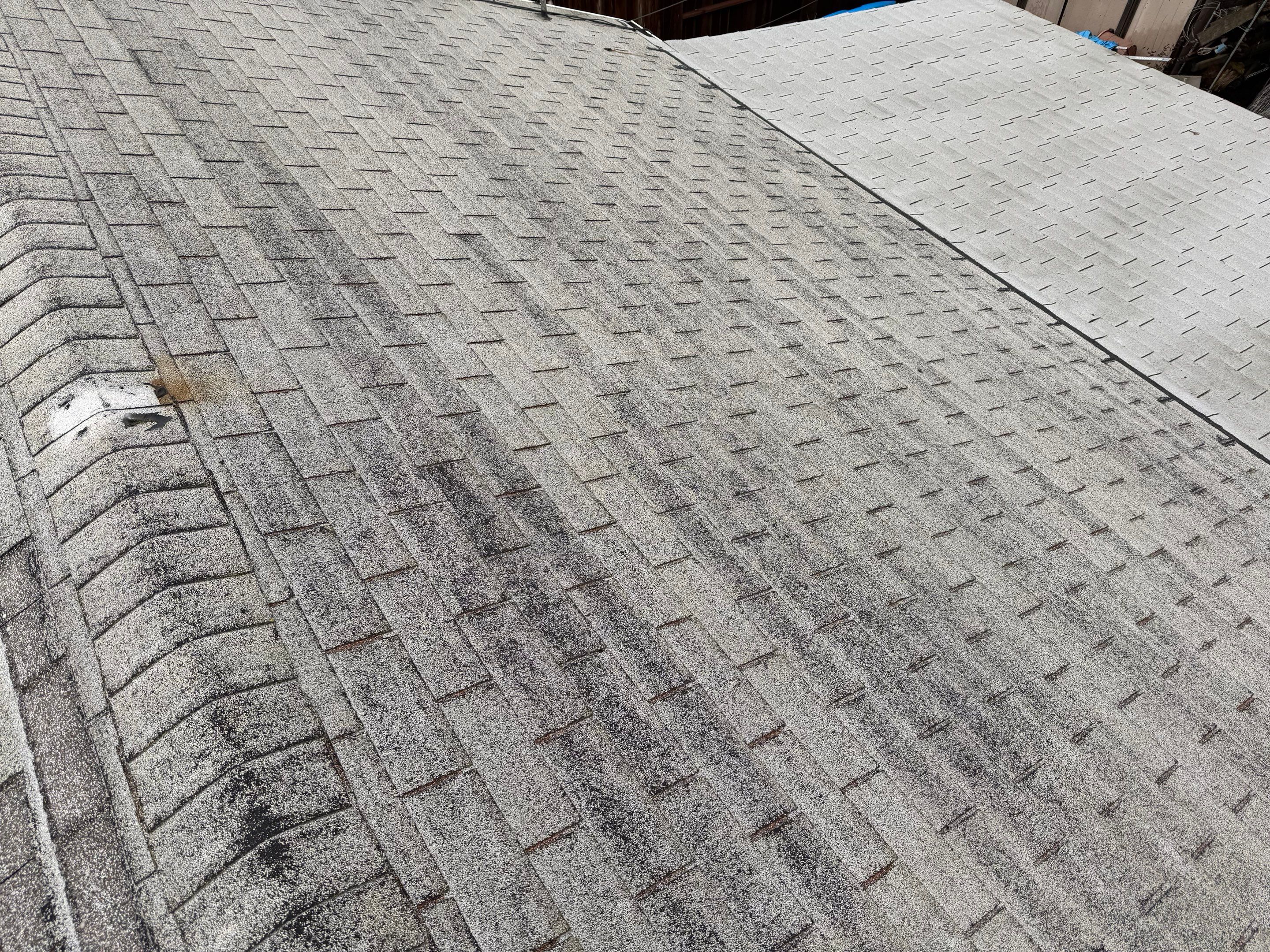 Project in West Sacramento by NuLead Construction Inc